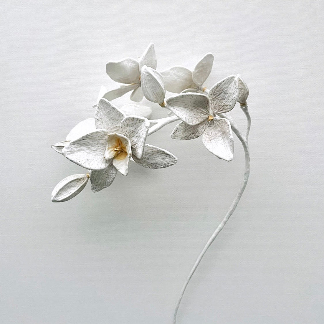 utei ― Paper Plants Exhibition | 2025.4.22 Tue – 5.07 Wed