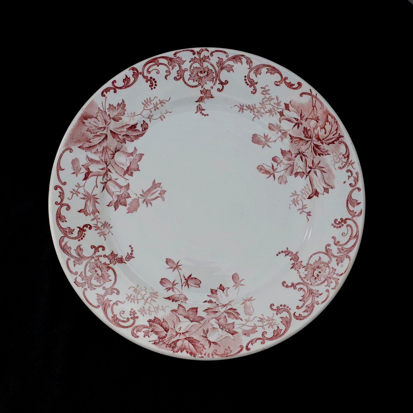 SAINT AMAND et HAMAGE | Dessert Plate “CAMPANULE”