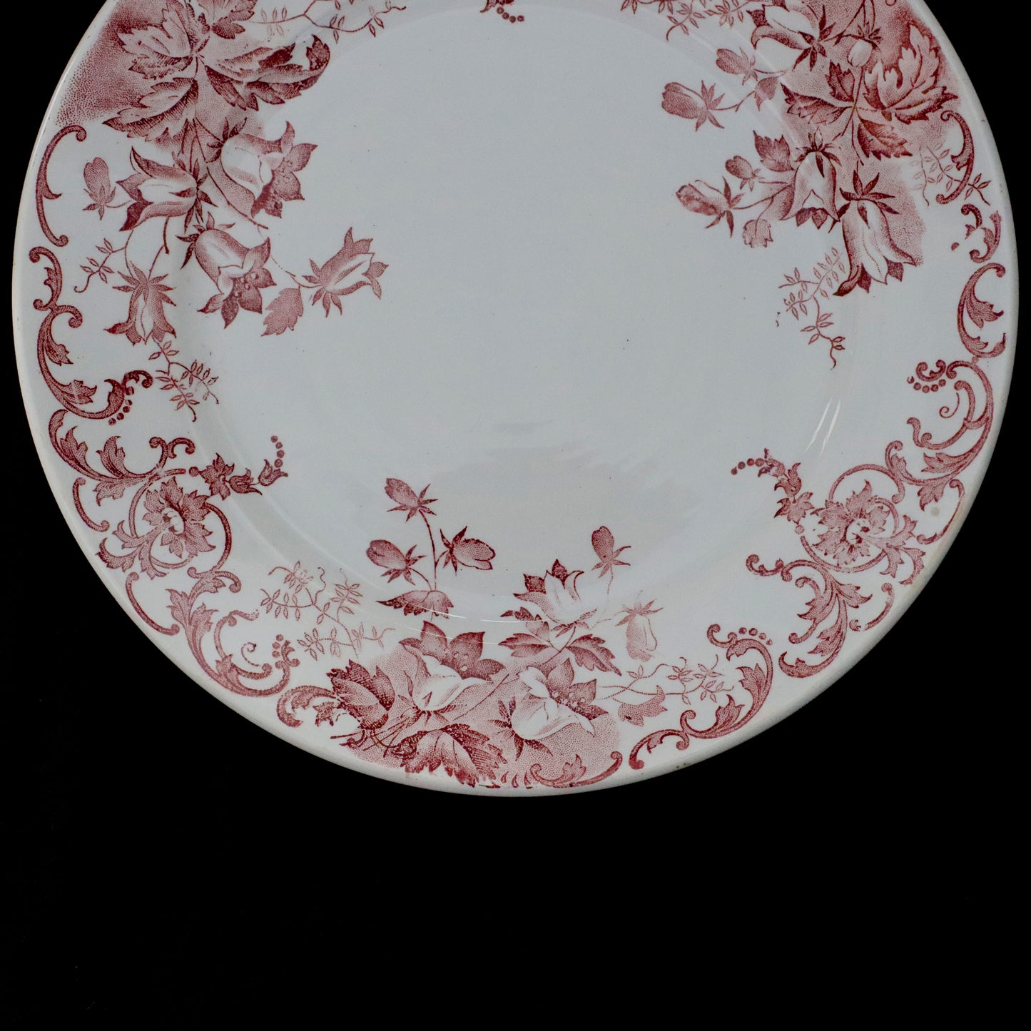 SAINT AMAND et HAMAGE | Dessert Plate “CAMPANULE”