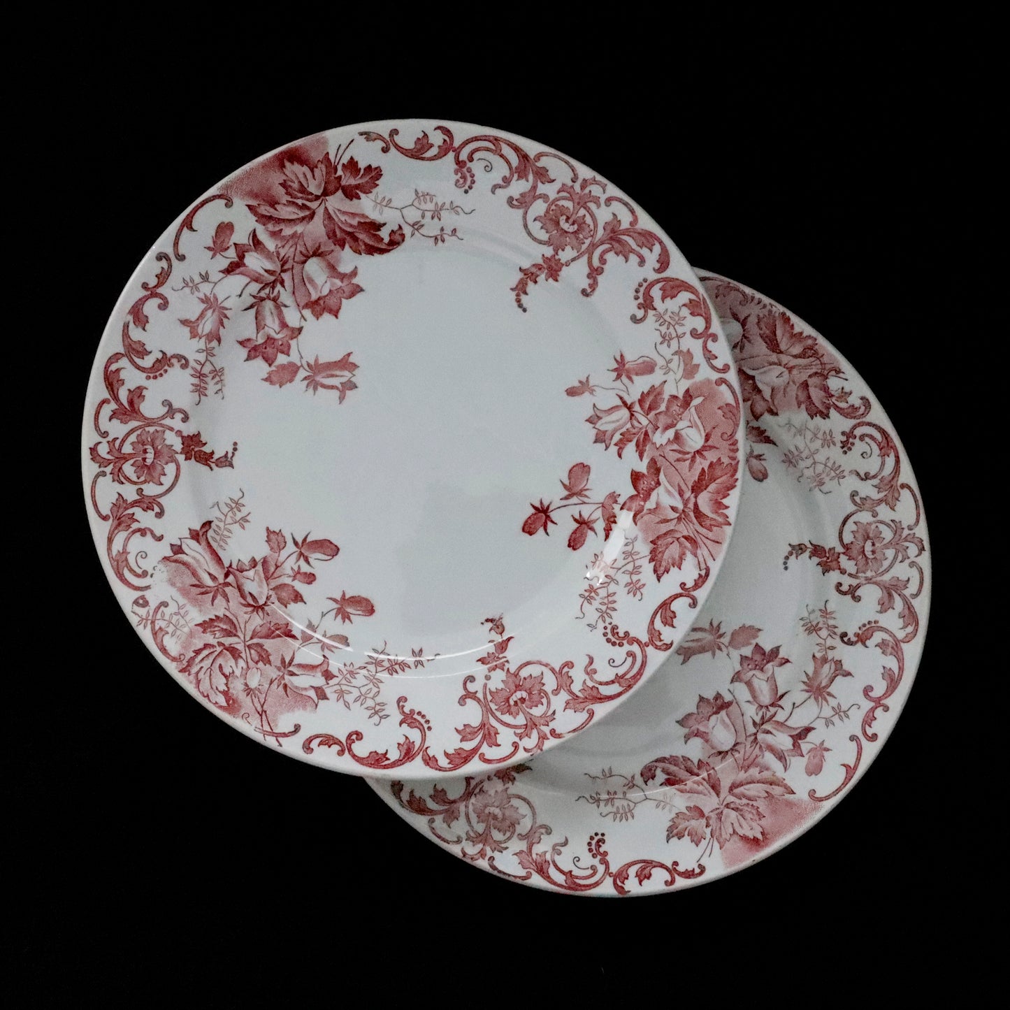 SAINT AMAND et HAMAGE | Dessert Plate “CAMPANULE”