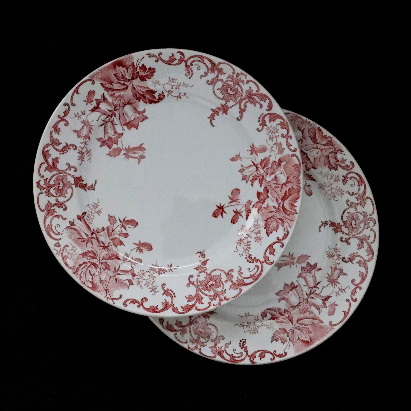 SAINT AMAND et HAMAGE | Dessert Plate “CAMPANULE”