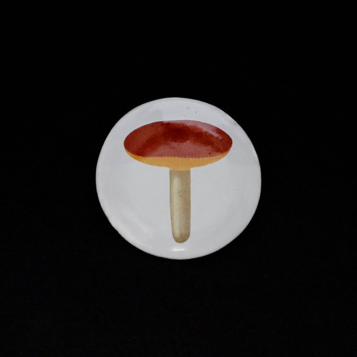 ASTIER de VILLATTE | "John Derian" Small Agaric Alutace Plate