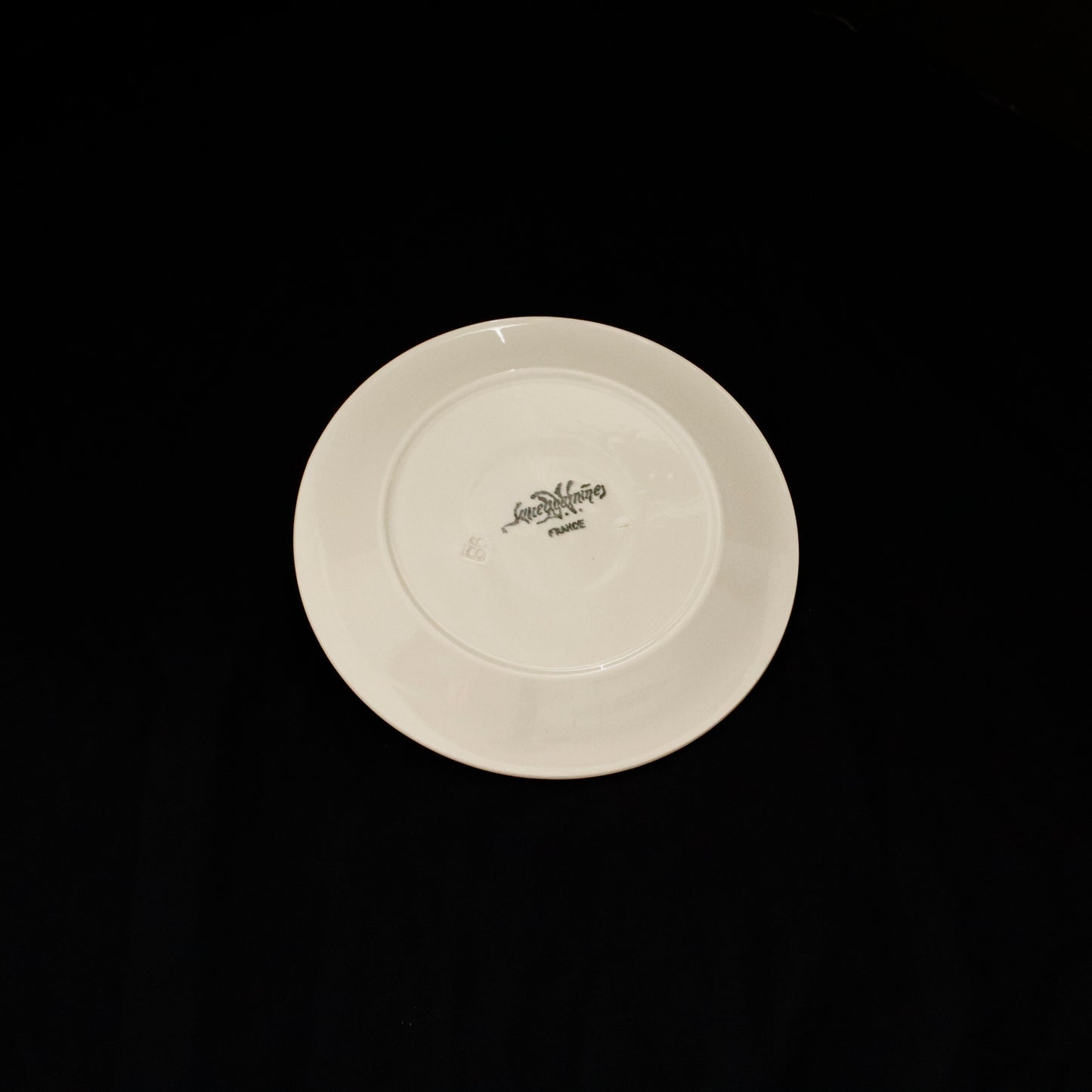 SARREGUEMINES | Small Plate