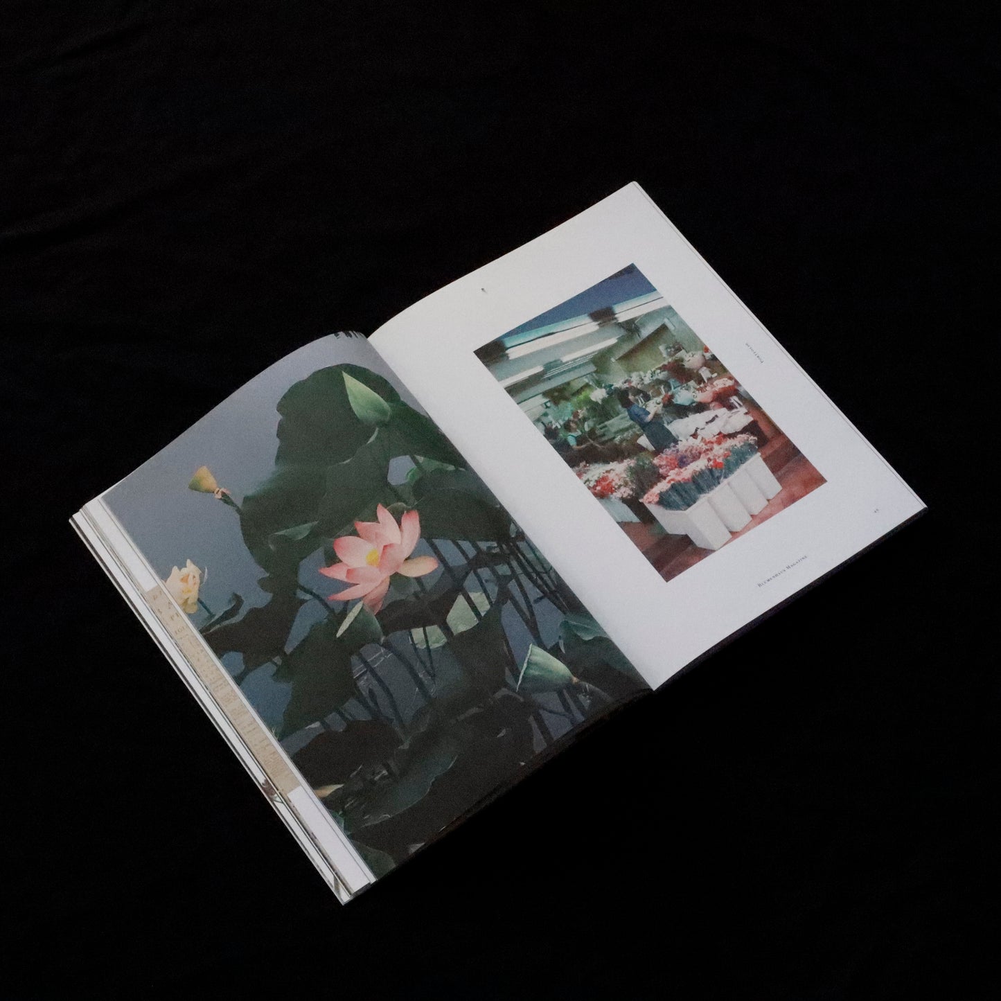 Blumenhaus | issue 01