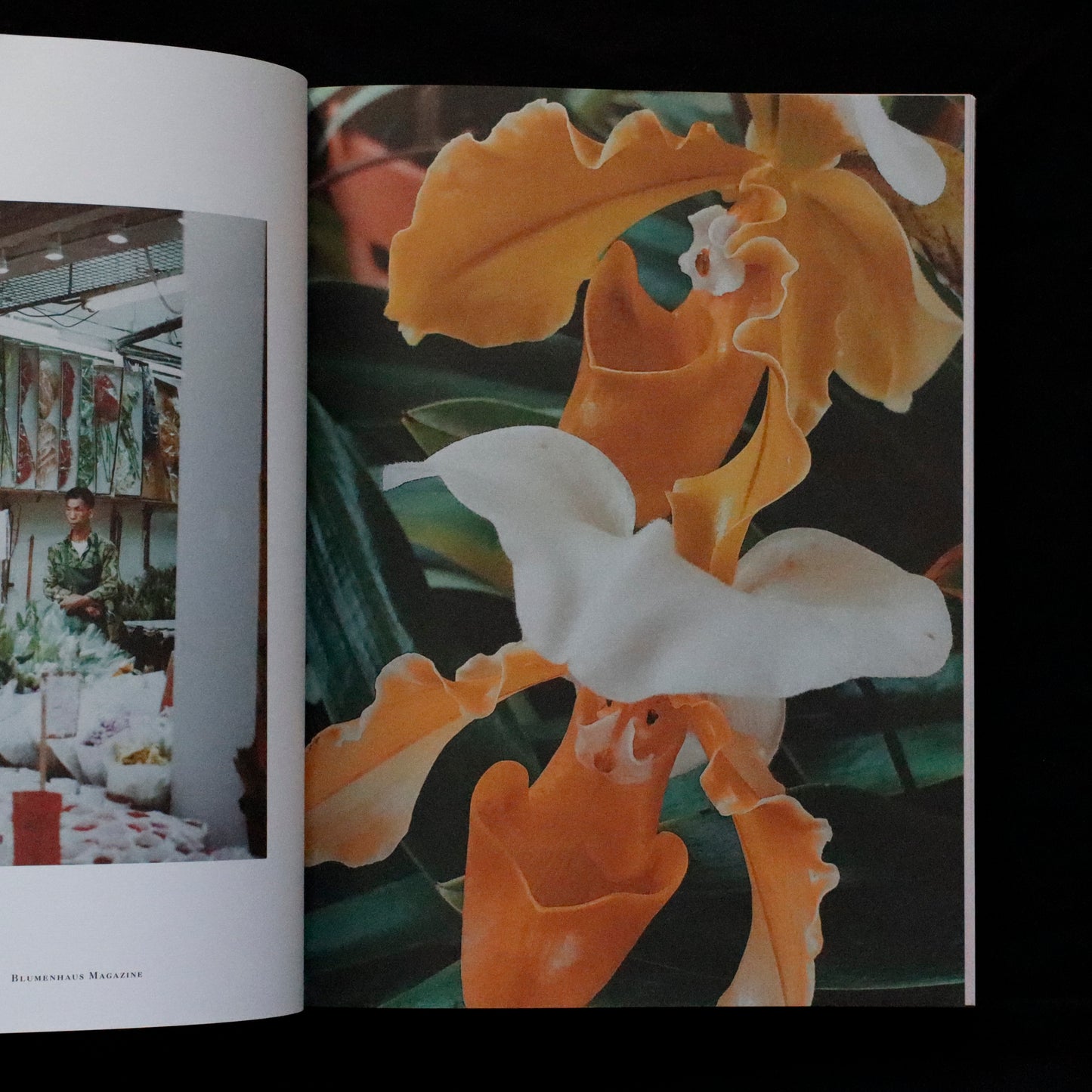 Blumenhaus | issue 01