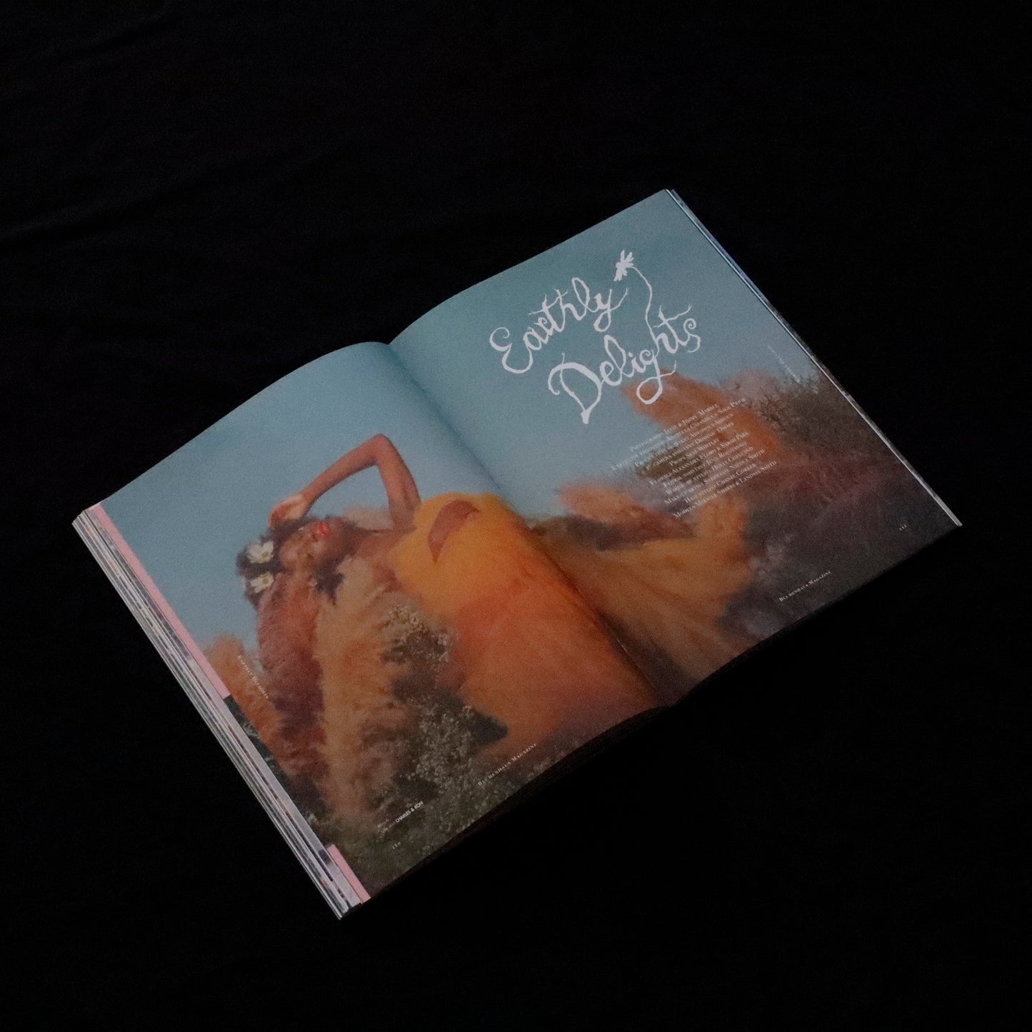 Blumenhaus | issue 01