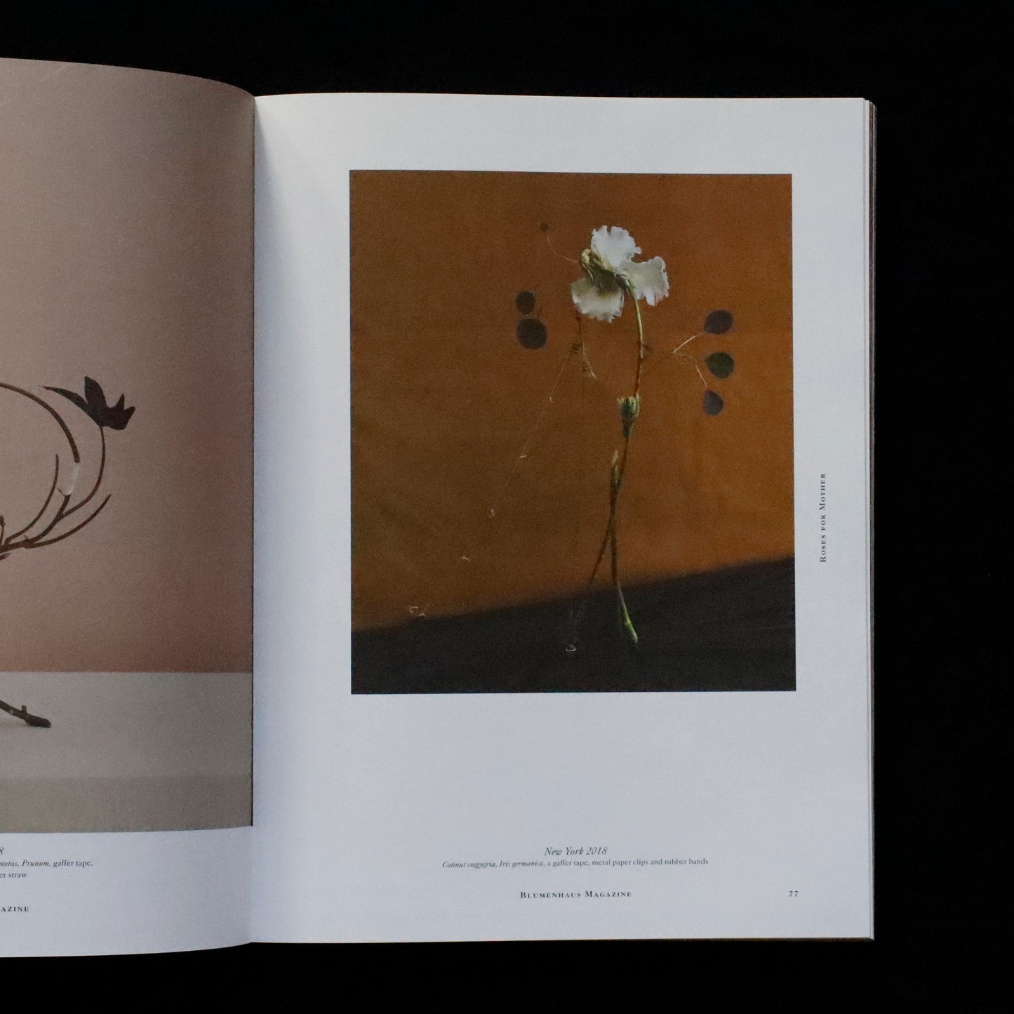 Blumenhaus | issue 01