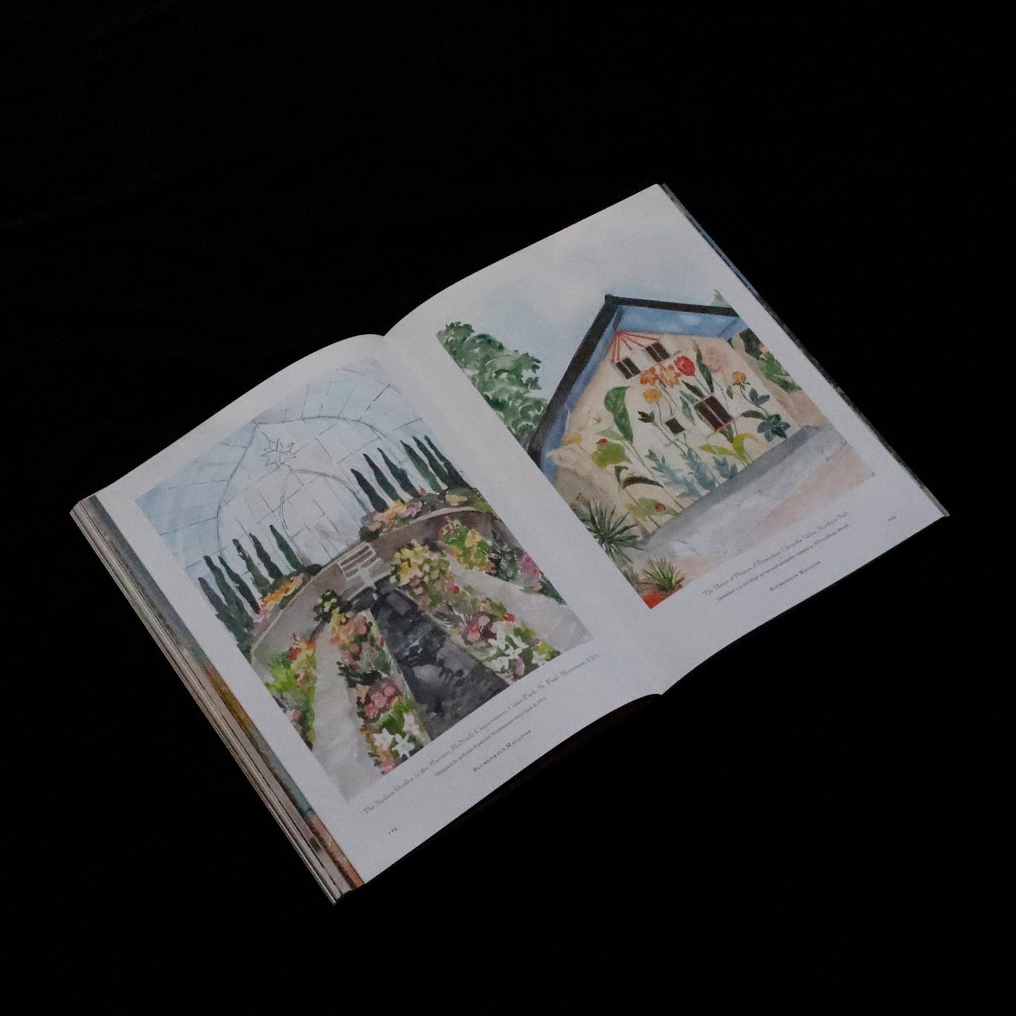 Blumenhaus | issue 01