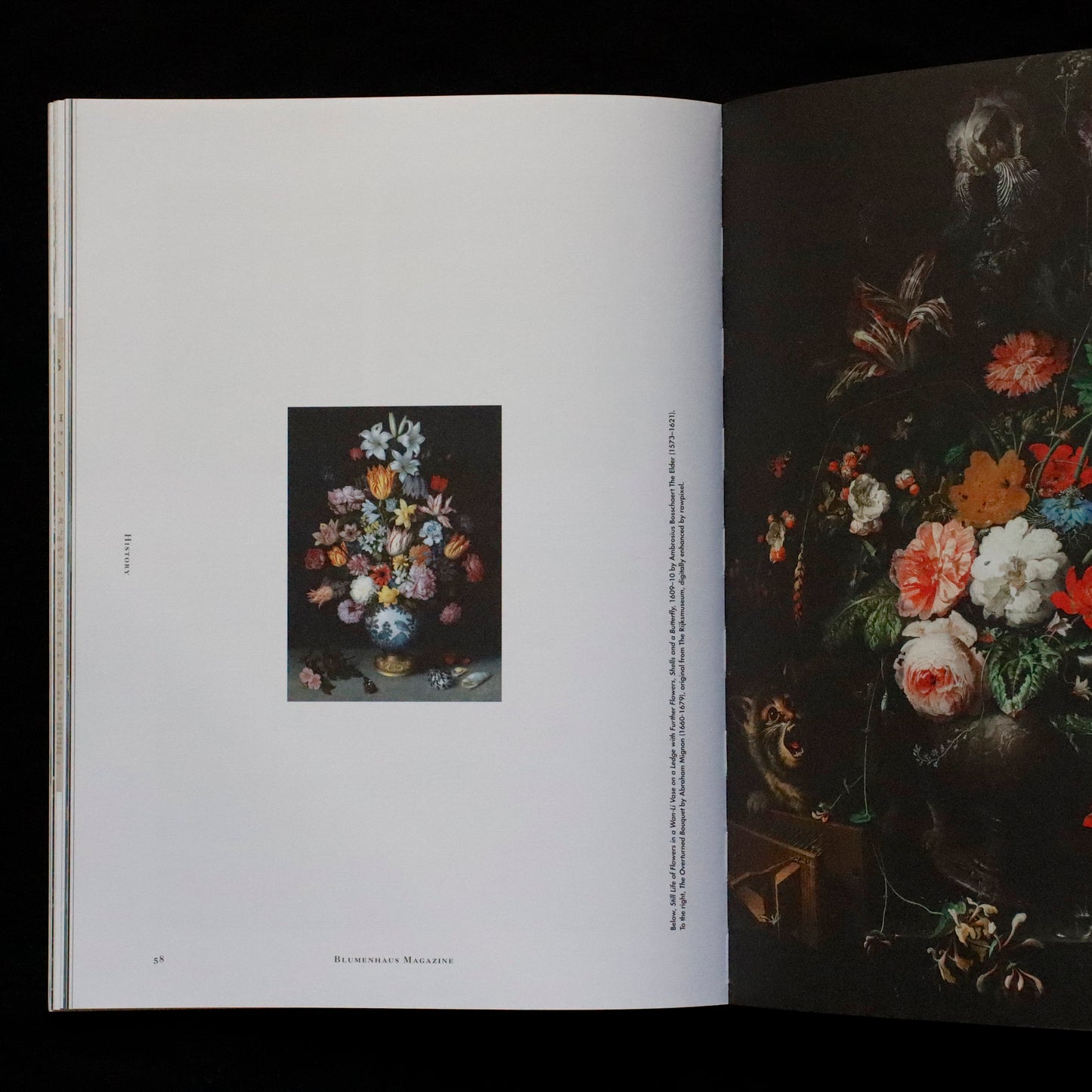 Blumenhaus | issue 01