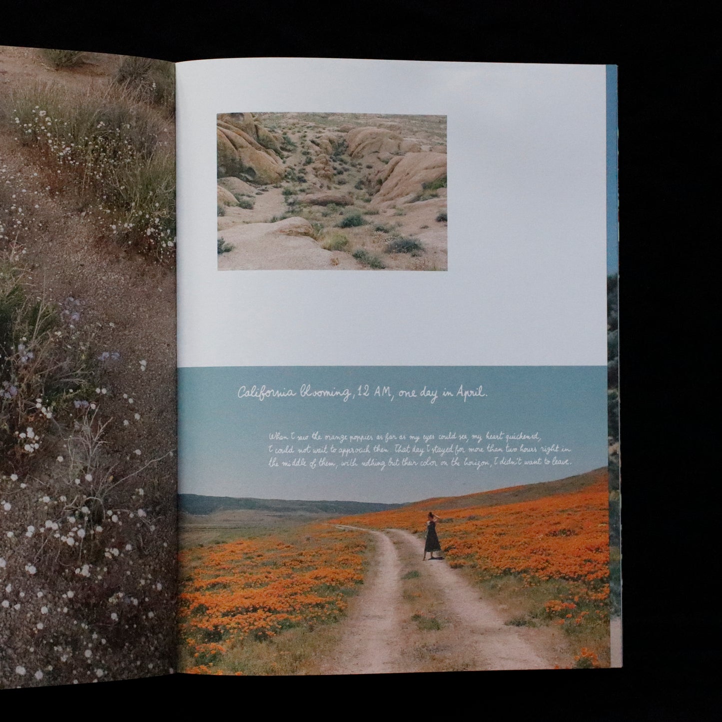 Blumenhaus | issue 01