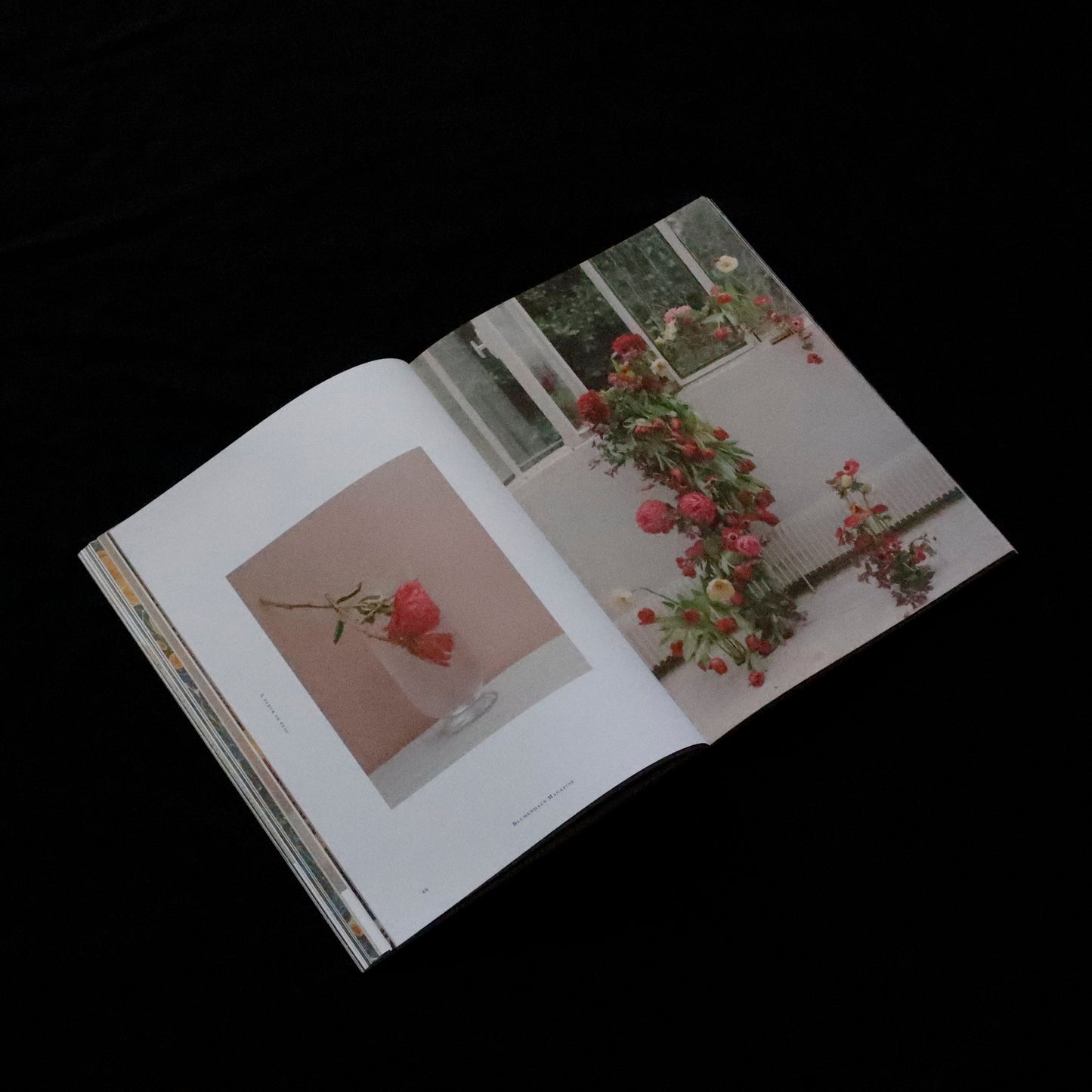 Blumenhaus | issue 01
