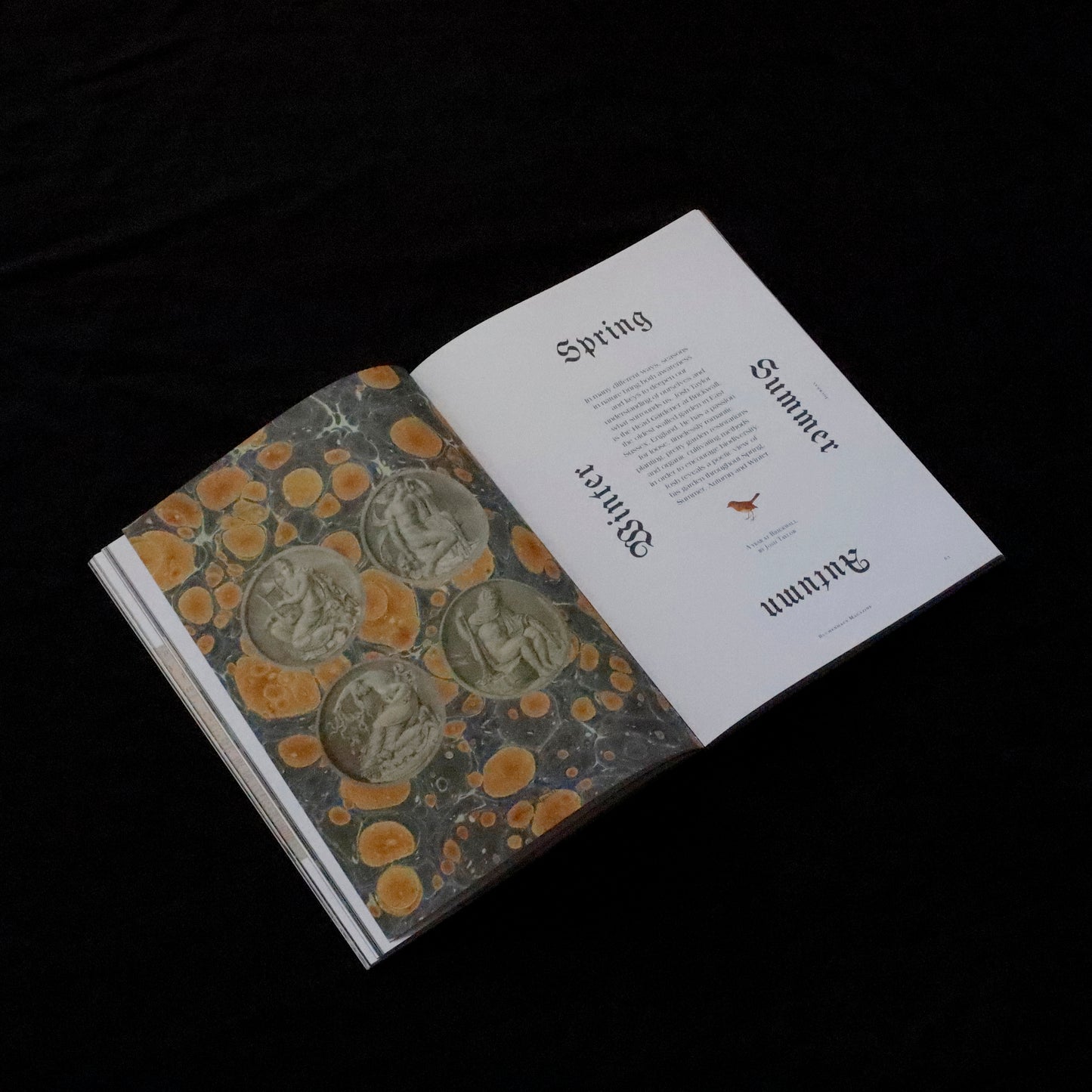 Blumenhaus | issue 01