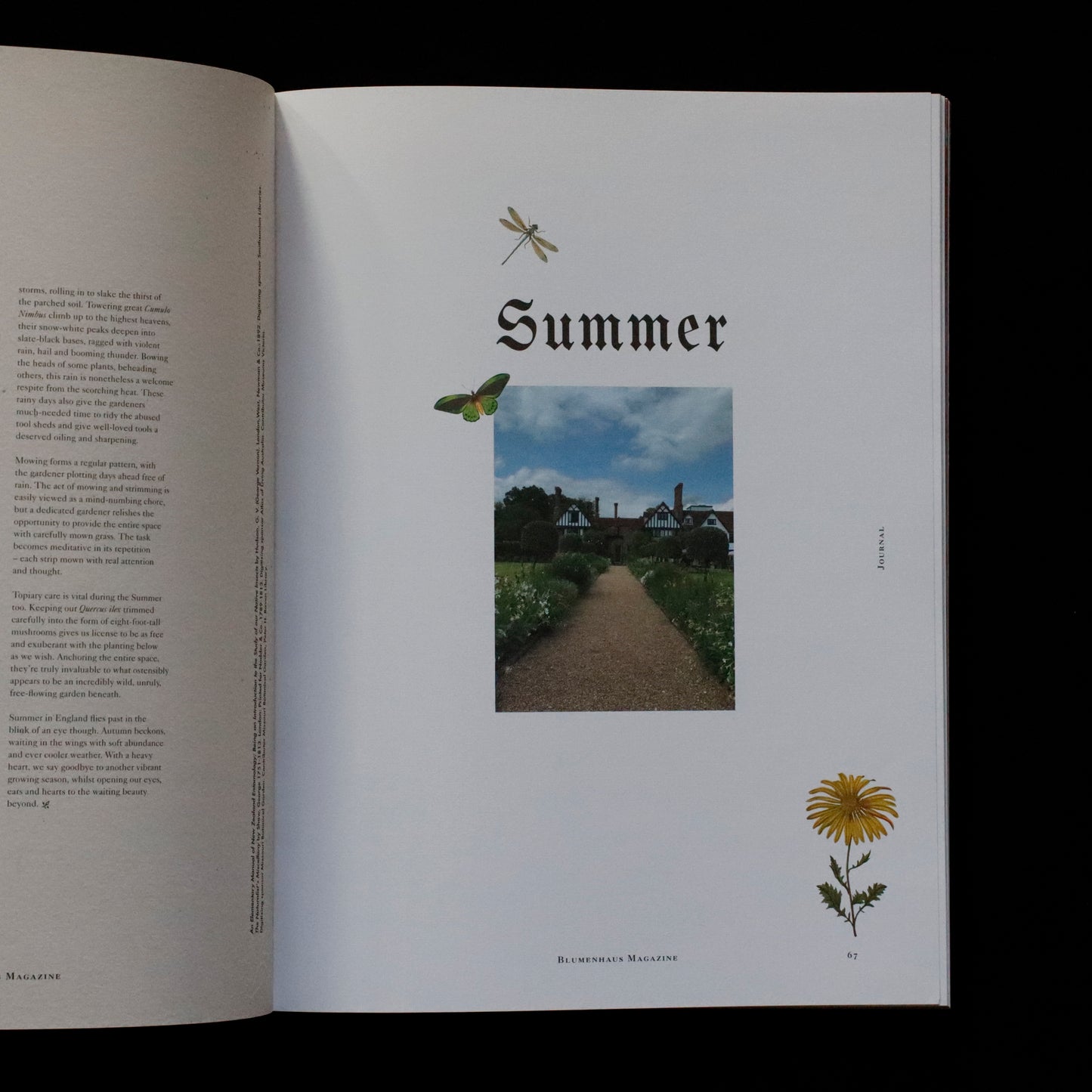 Blumenhaus | issue 01