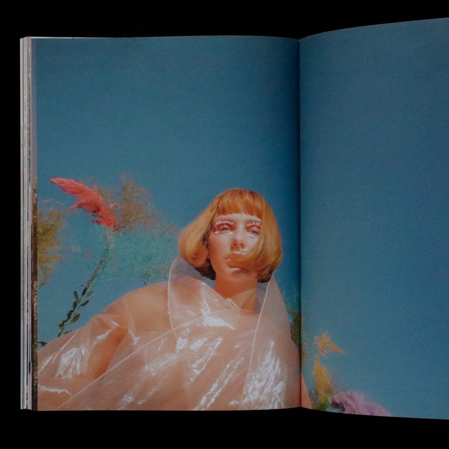 Blumenhaus | issue 01
