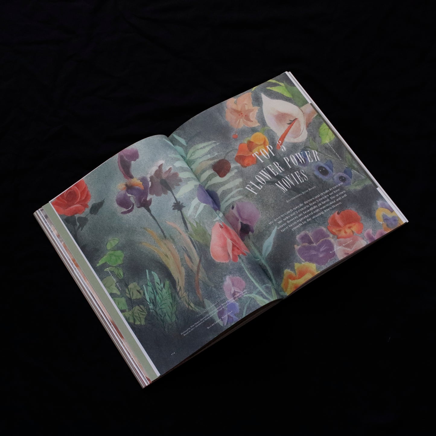 Blumenhaus | issue 02