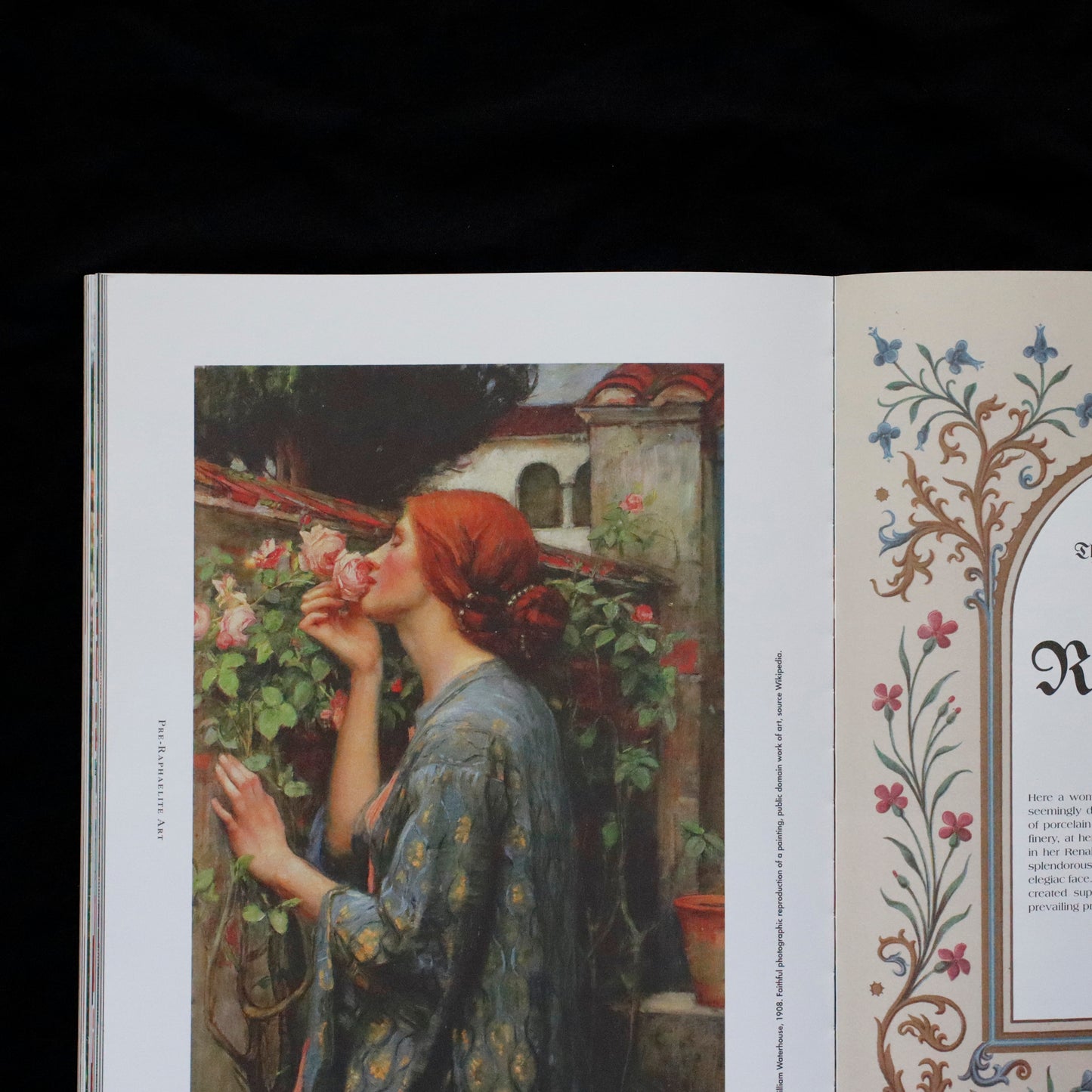 Blumenhaus | issue 02