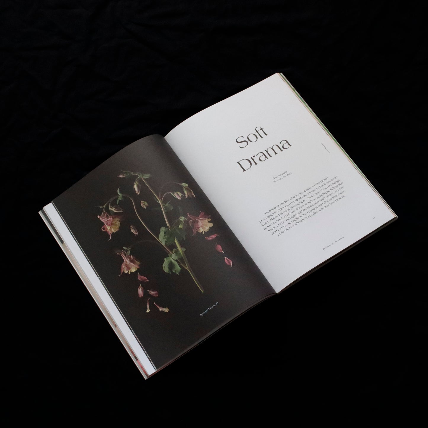 Blumenhaus | issue 02