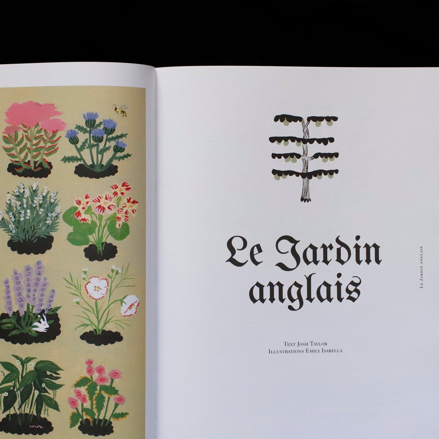 Blumenhaus | issue 02