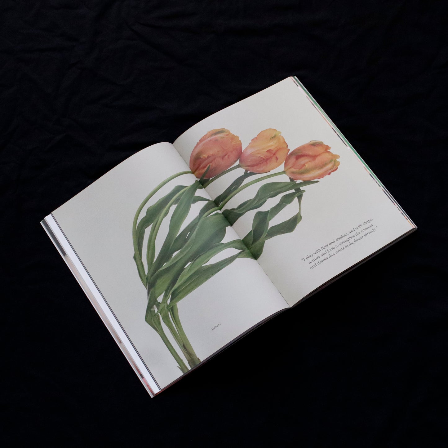Blumenhaus | issue 02