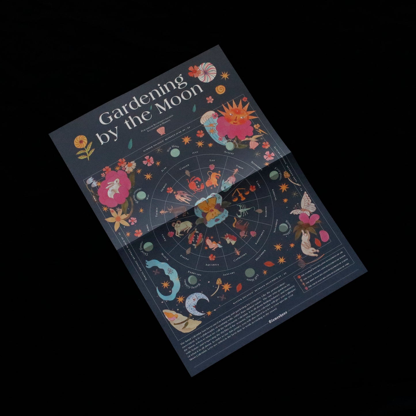 Blumenhaus | issue 03
