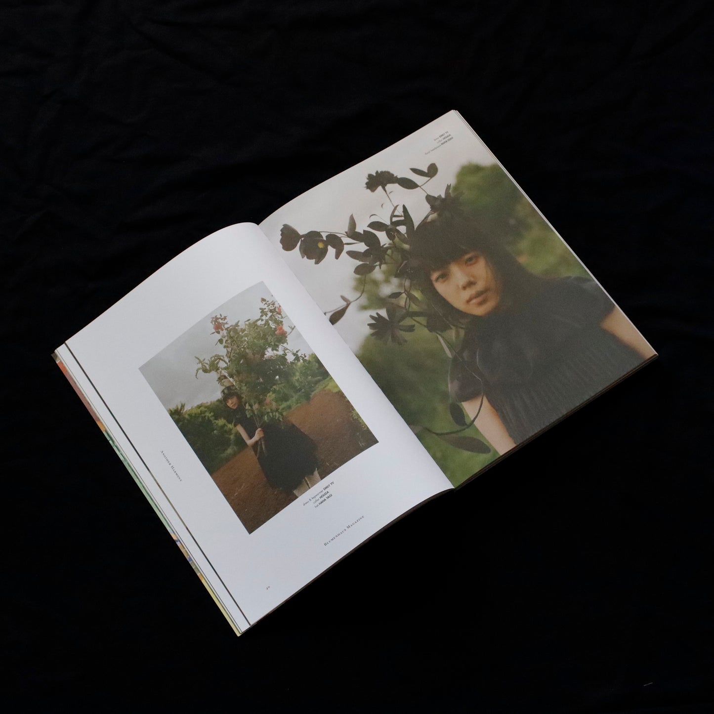 Blumenhaus | issue 03