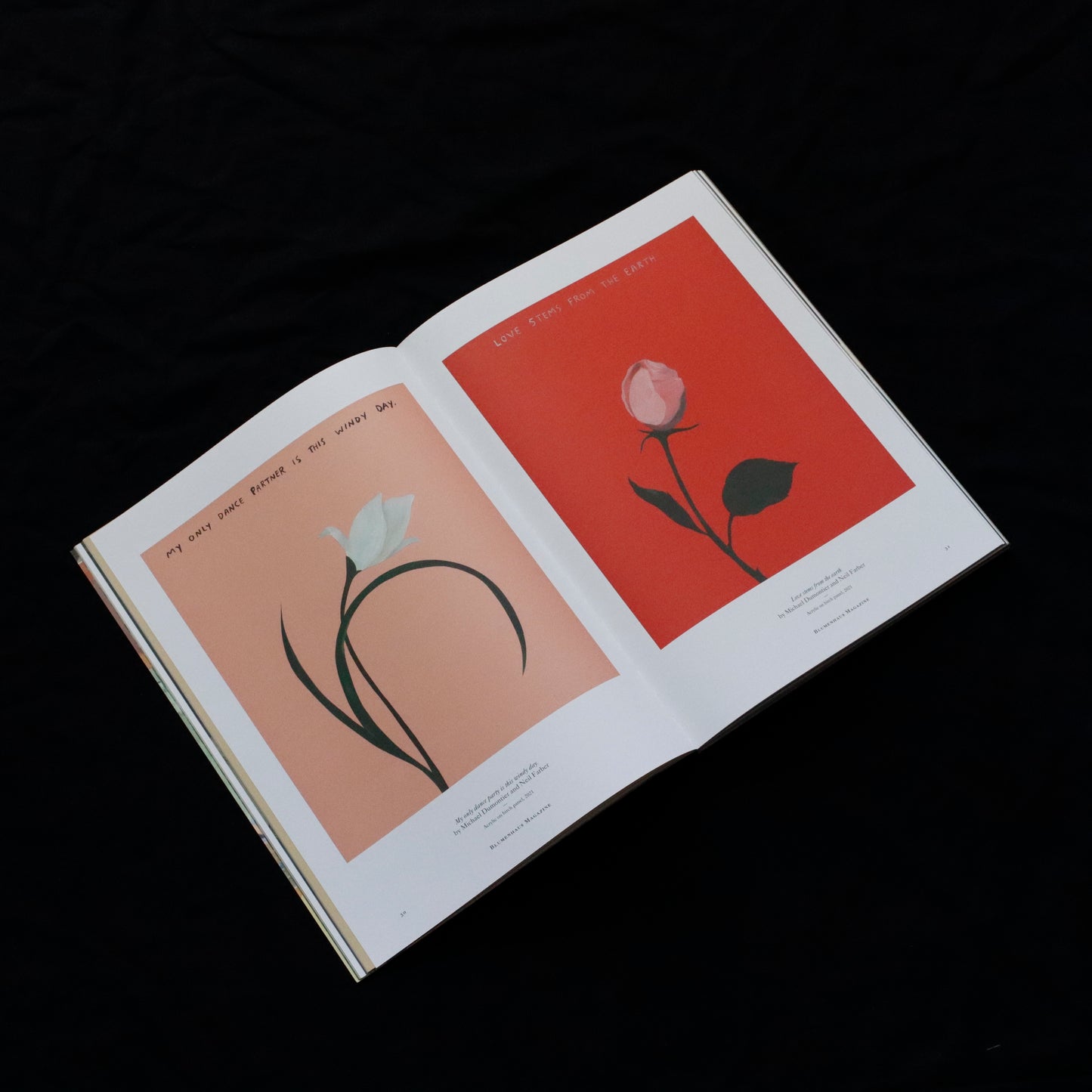 Blumenhaus | issue 03