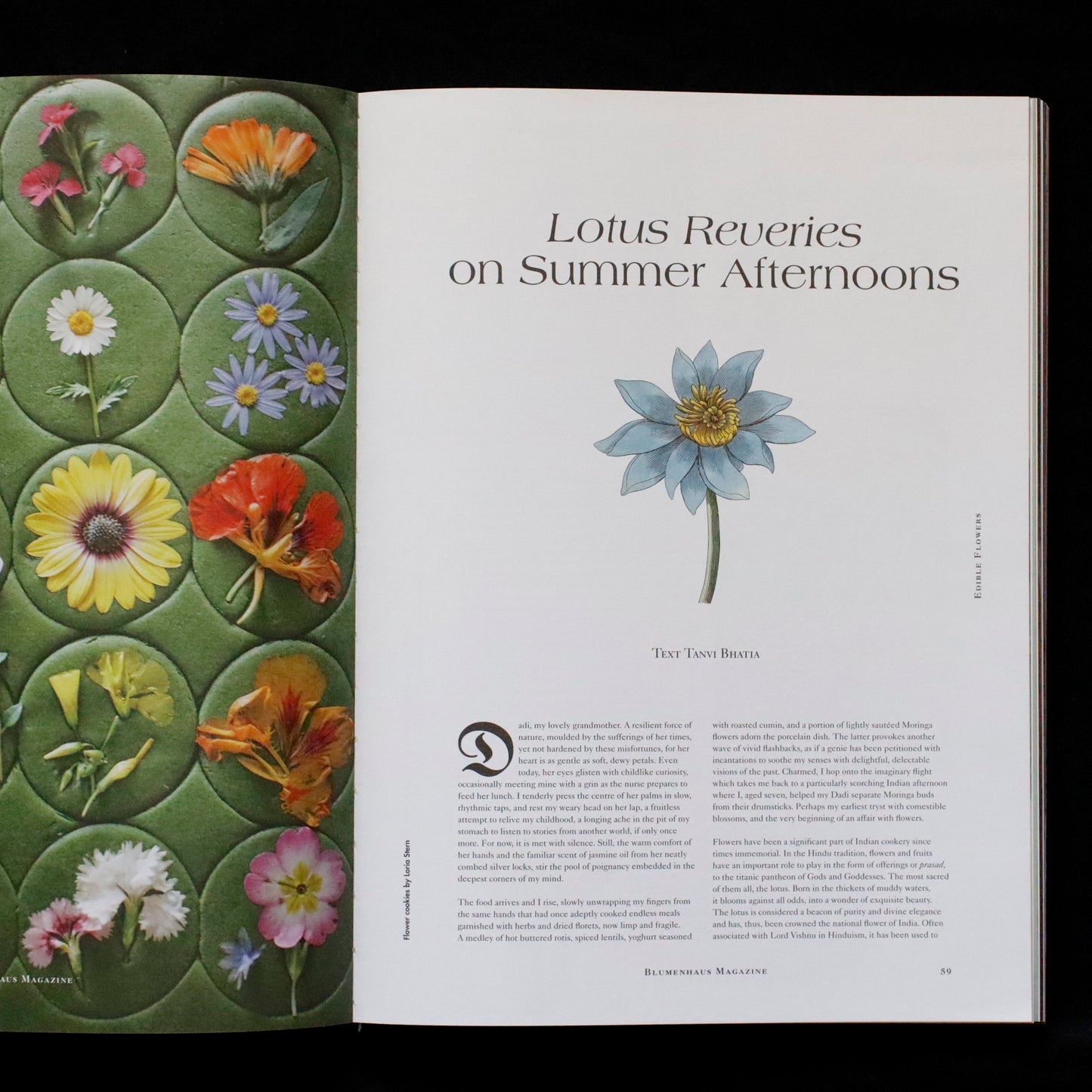 Blumenhaus | issue 03
