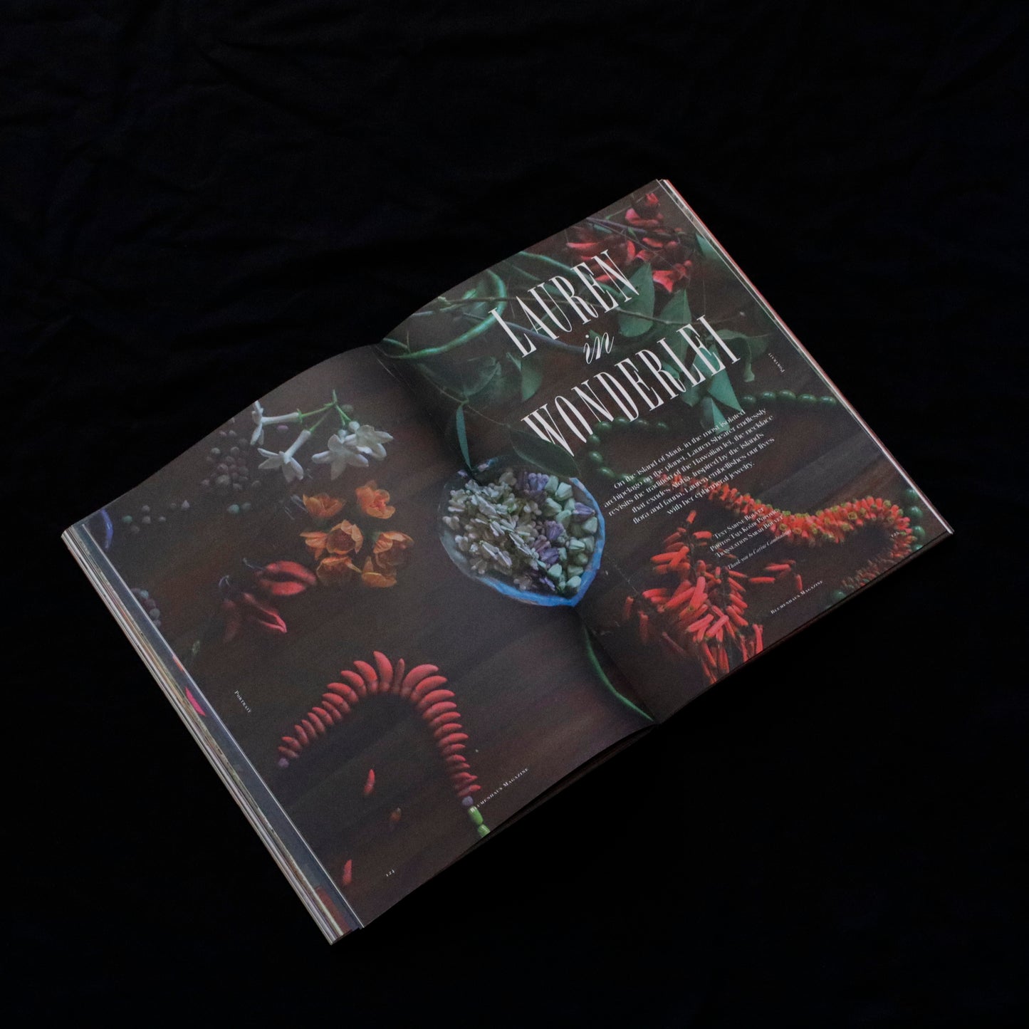 Blumenhaus | issue 03