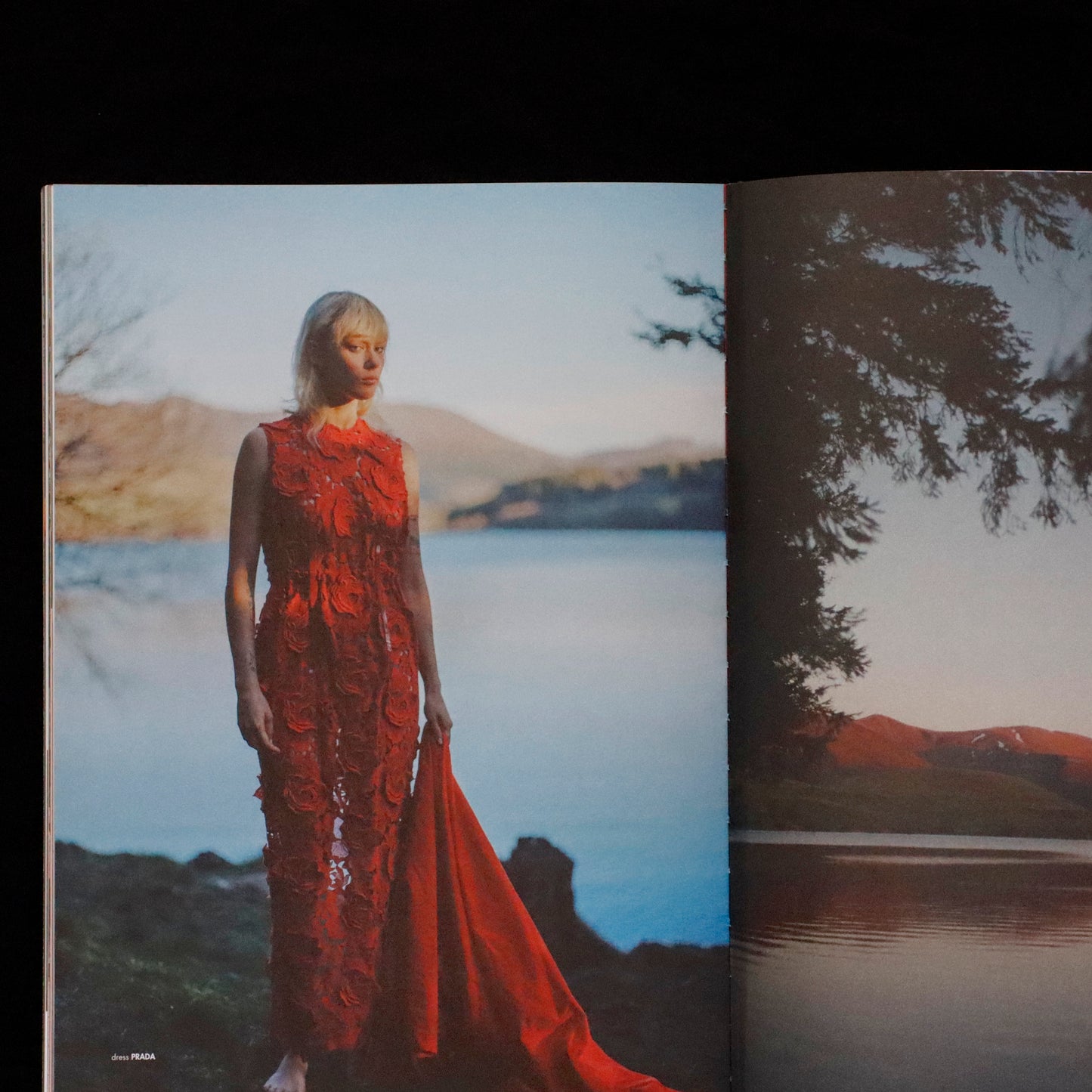 Blumenhaus | issue 03