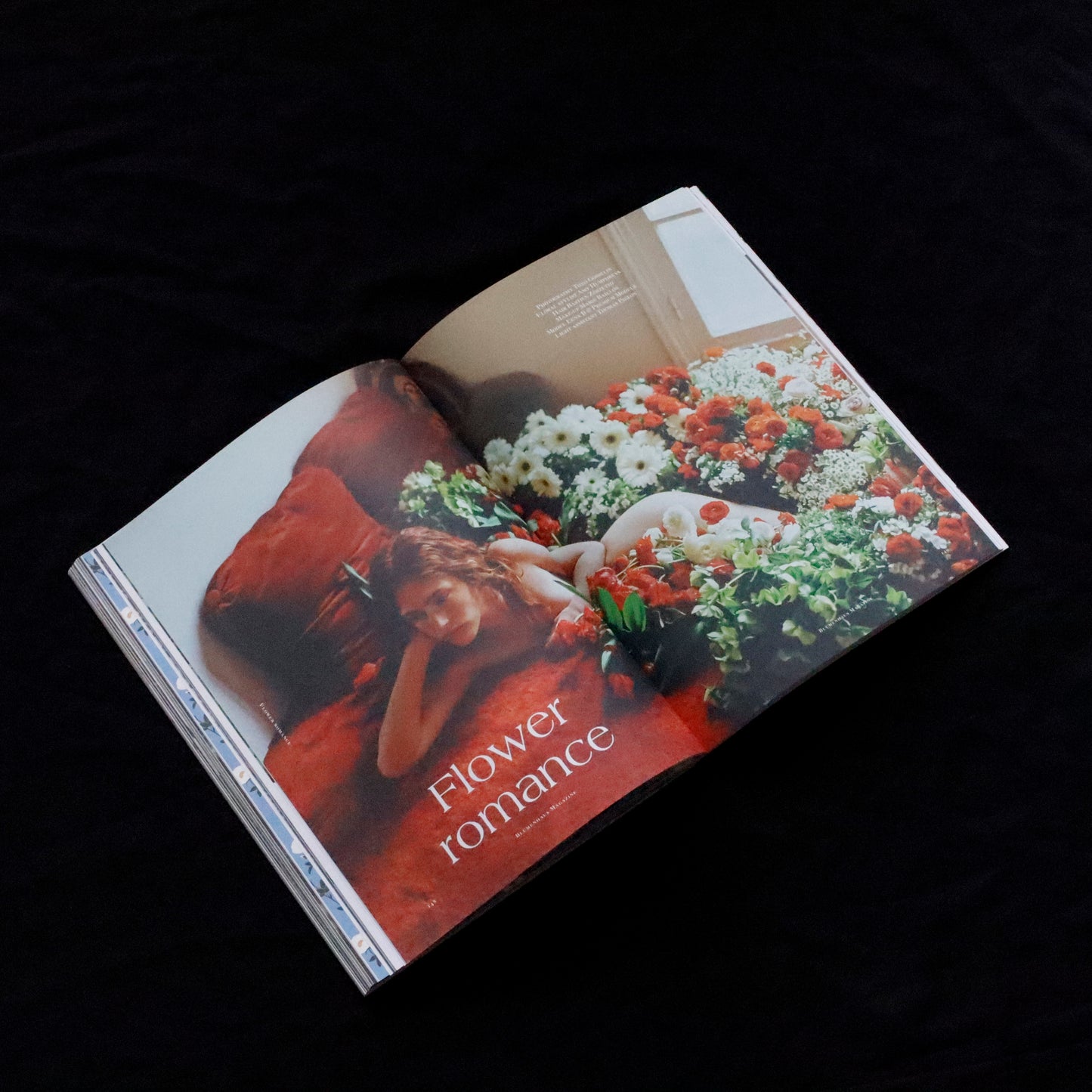 Blumenhaus | issue 04