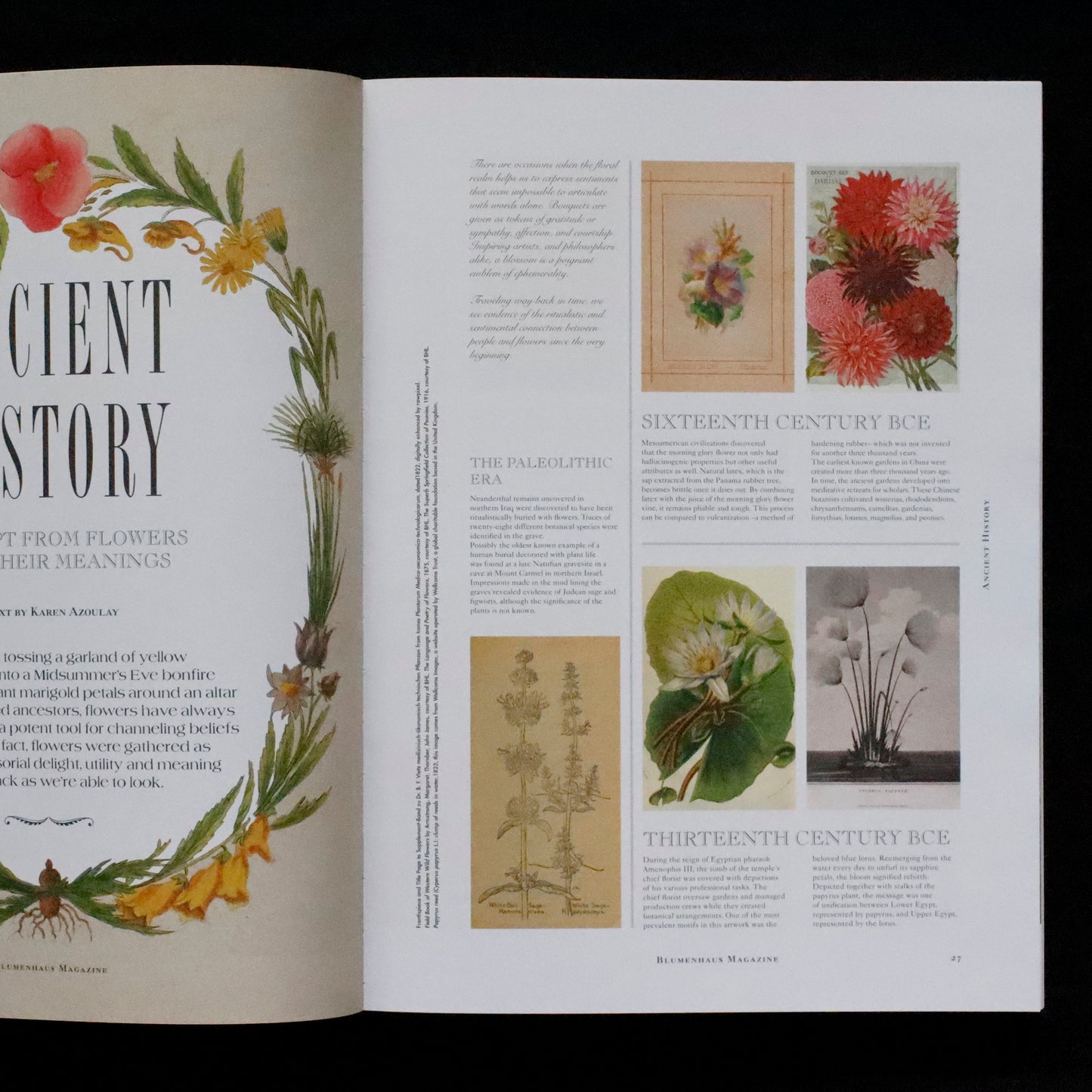 Blumenhaus | issue 04