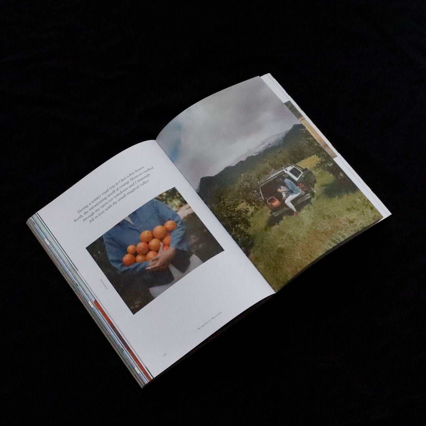Blumenhaus | issue 04