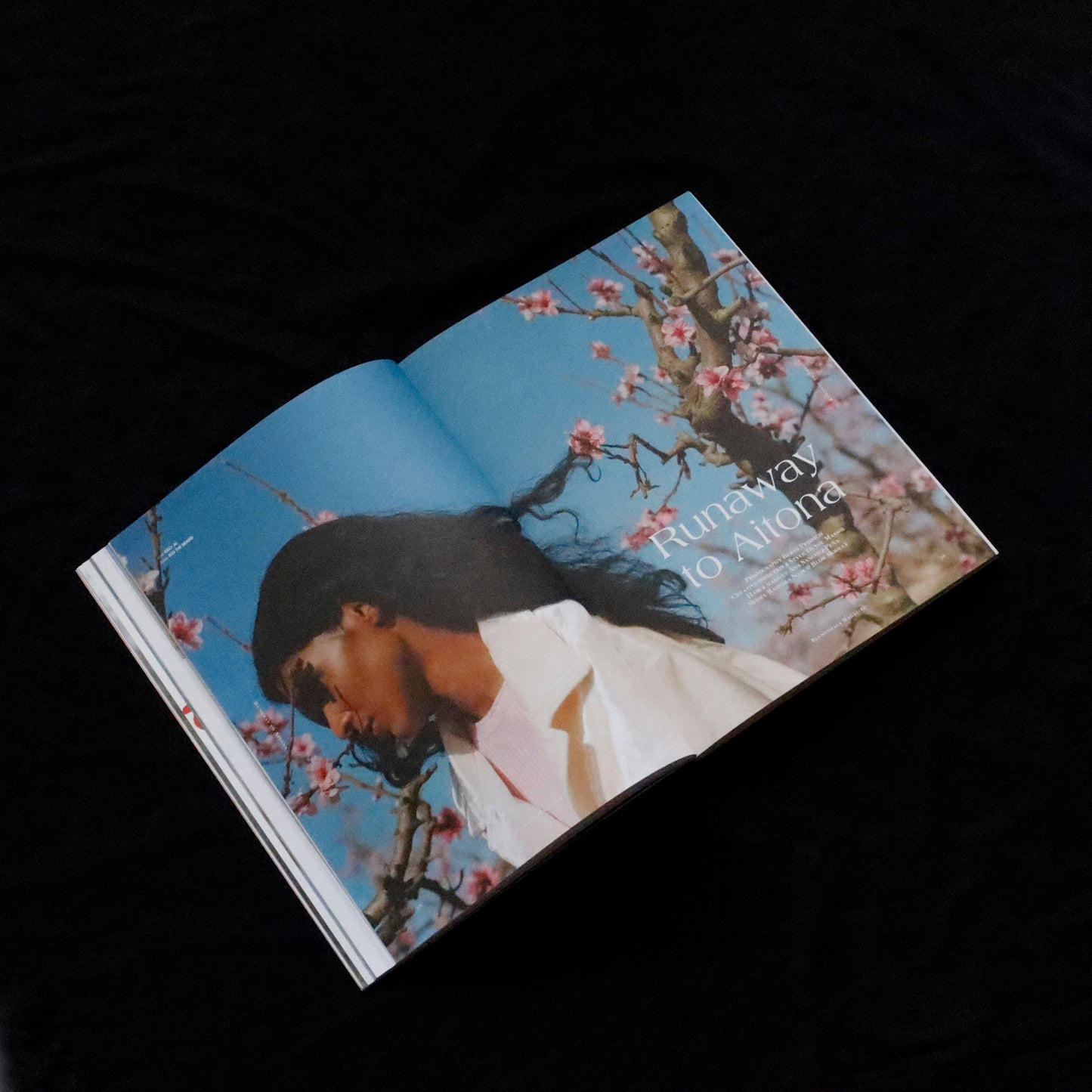 Blumenhaus | issue 04