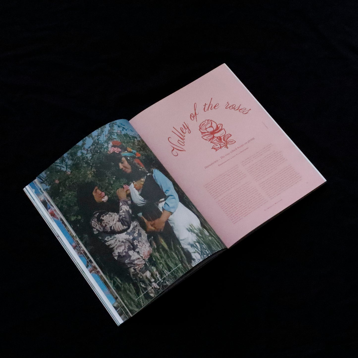 Blumenhaus | issue 04