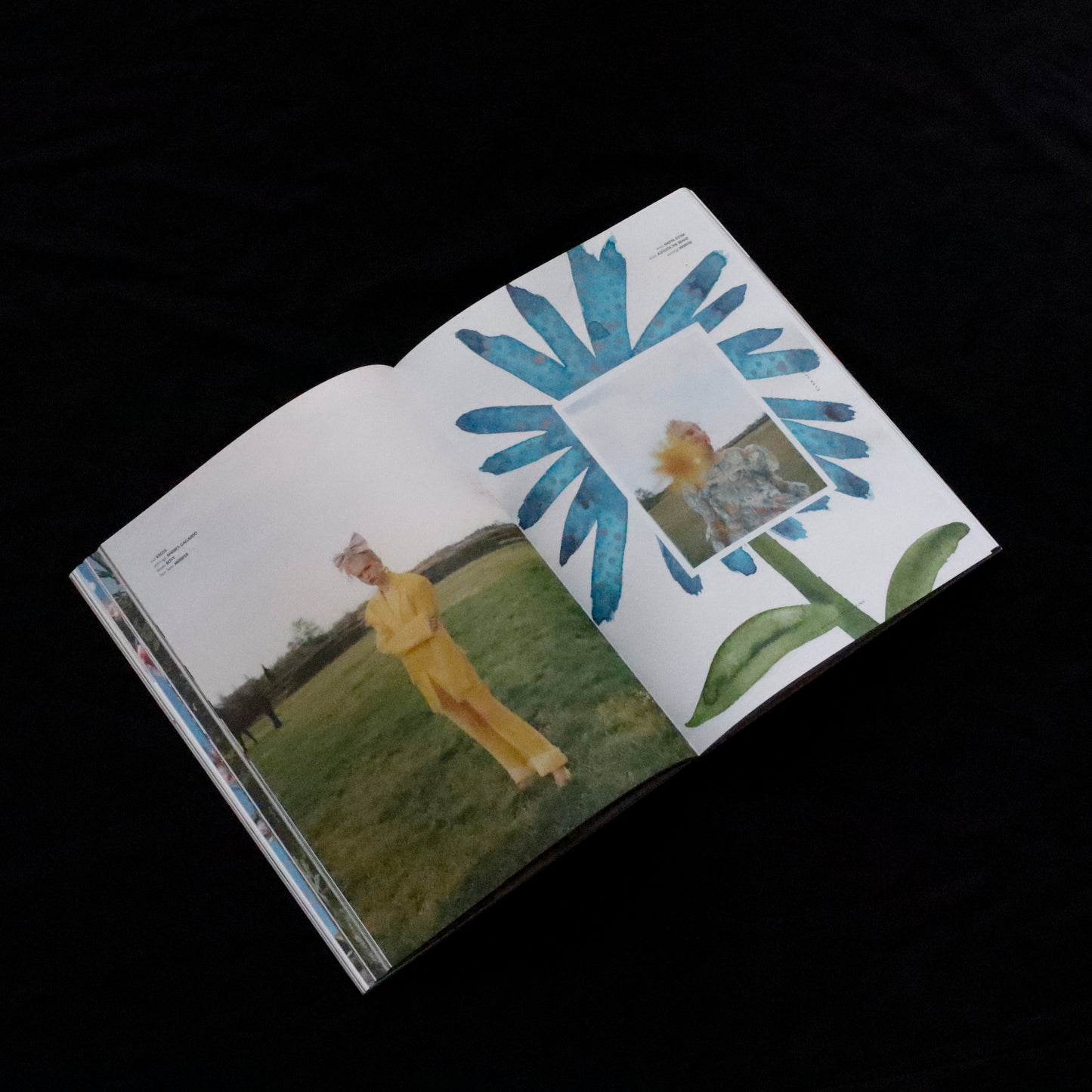 Blumenhaus | issue 04