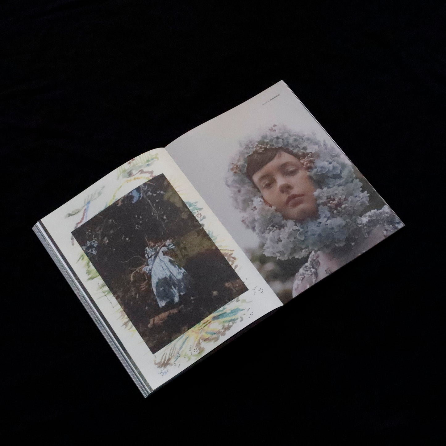 Blumenhaus | issue 05