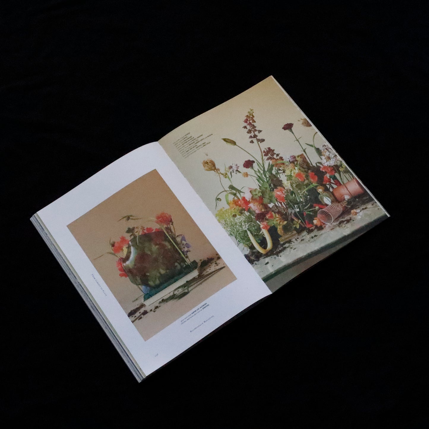 Blumenhaus | issue 05