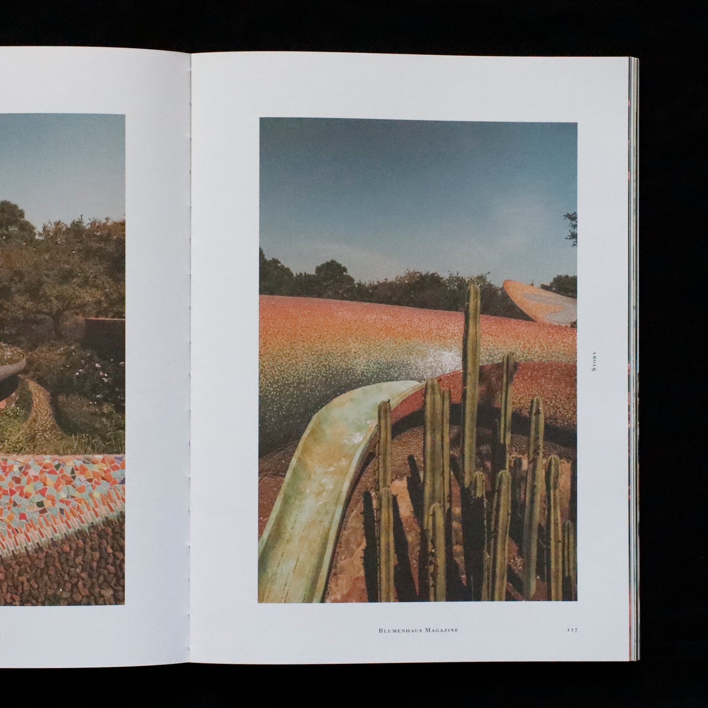 Blumenhaus | issue 05