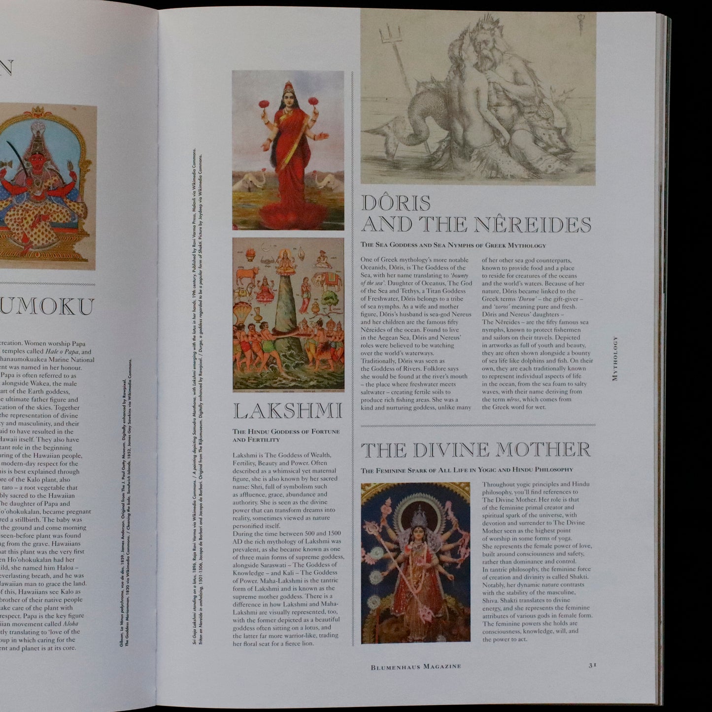 Blumenhaus | issue 05