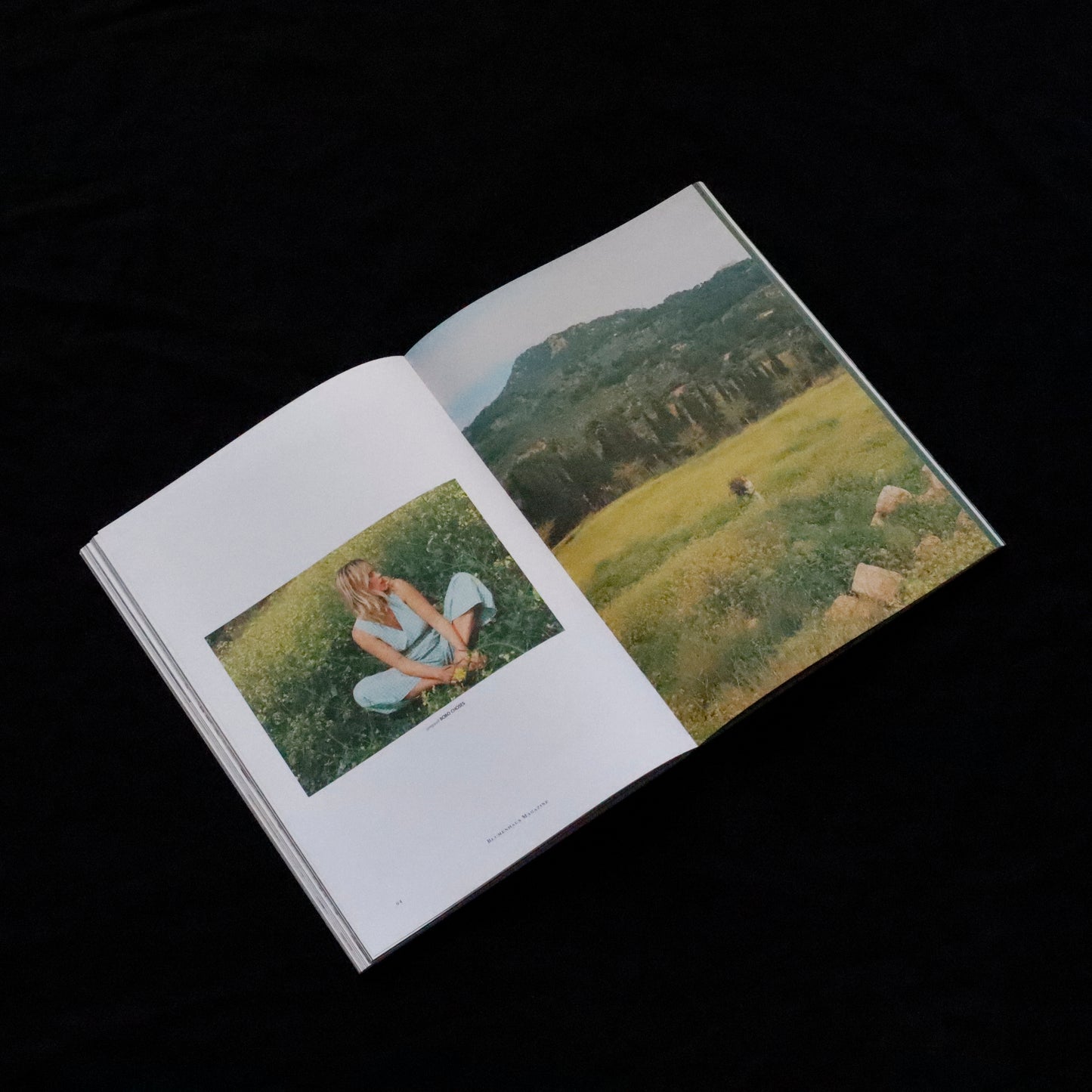 Blumenhaus | issue 05