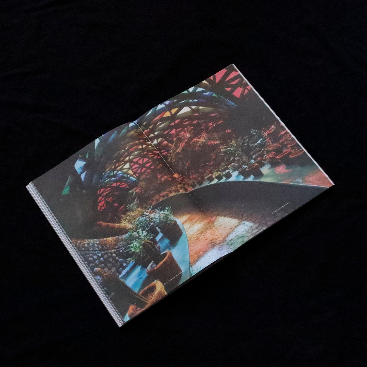 Blumenhaus | issue 05