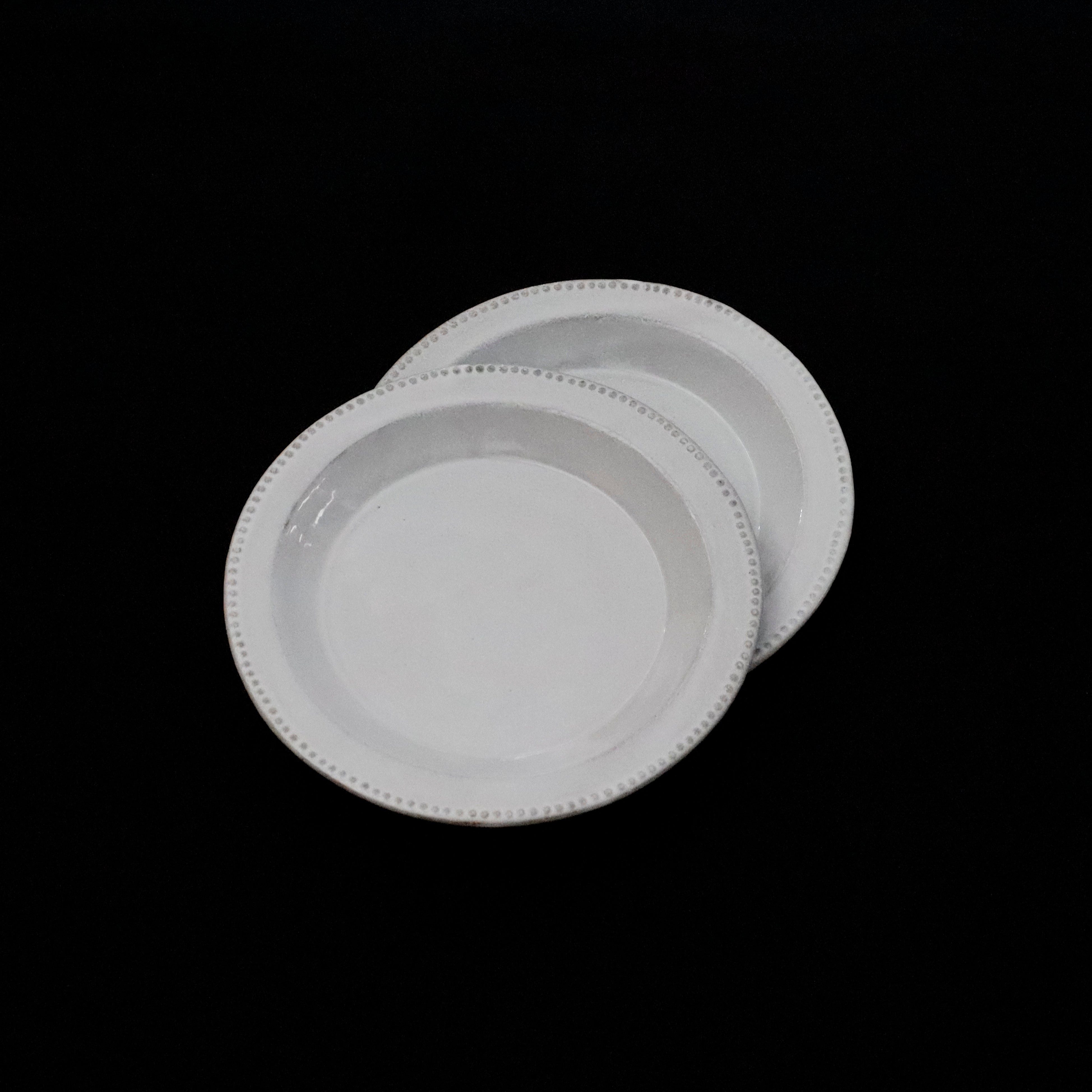 ASTIER de VILLATTE – VISIONS