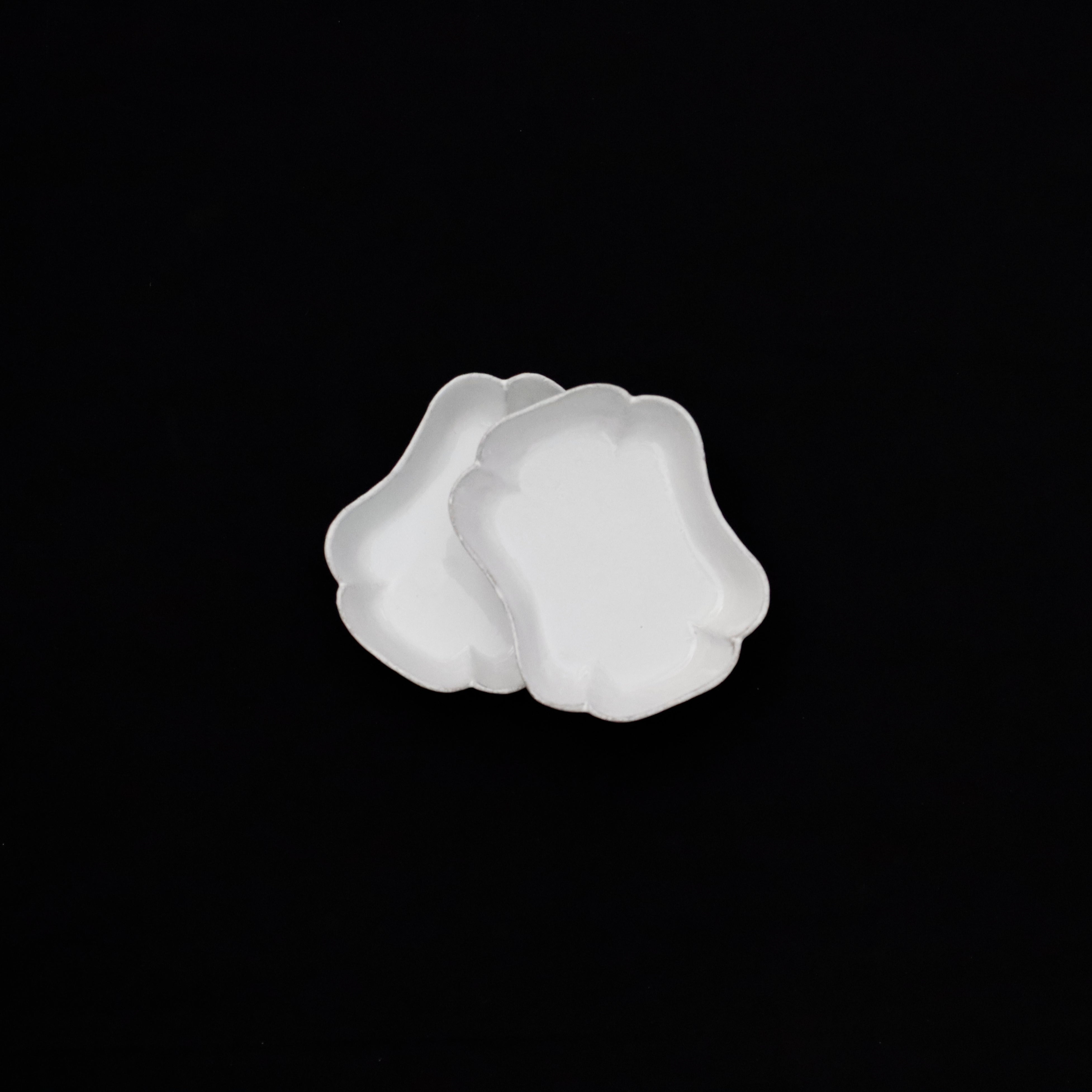 ASTIER de VILLATTE – VISIONS