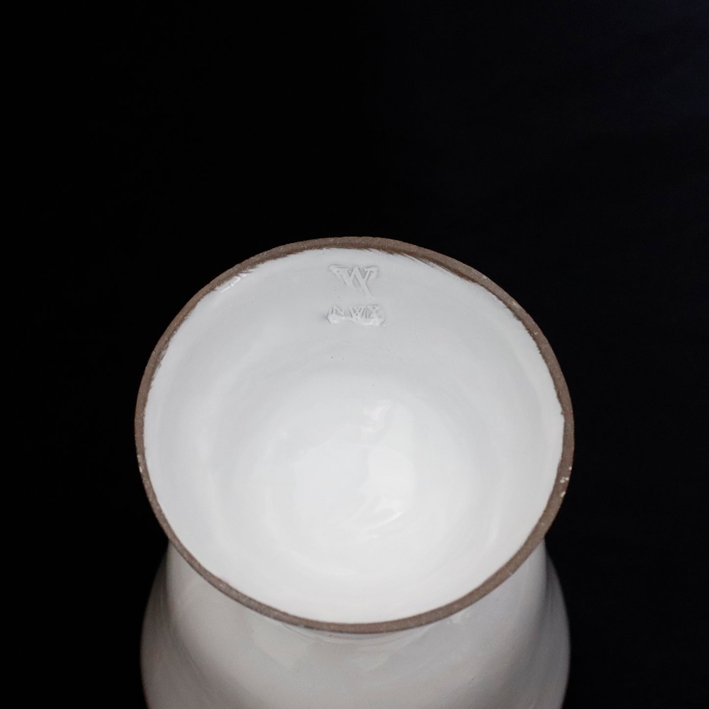 Large Apothicaire Vase