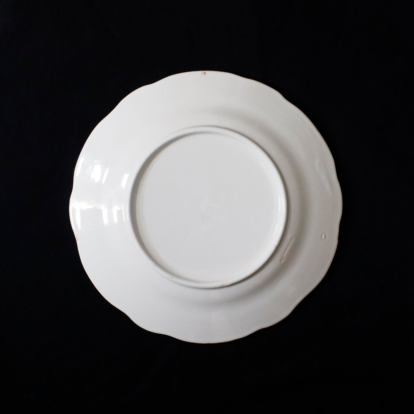 Flower Lim Plate | Kintsugi Repair “B”