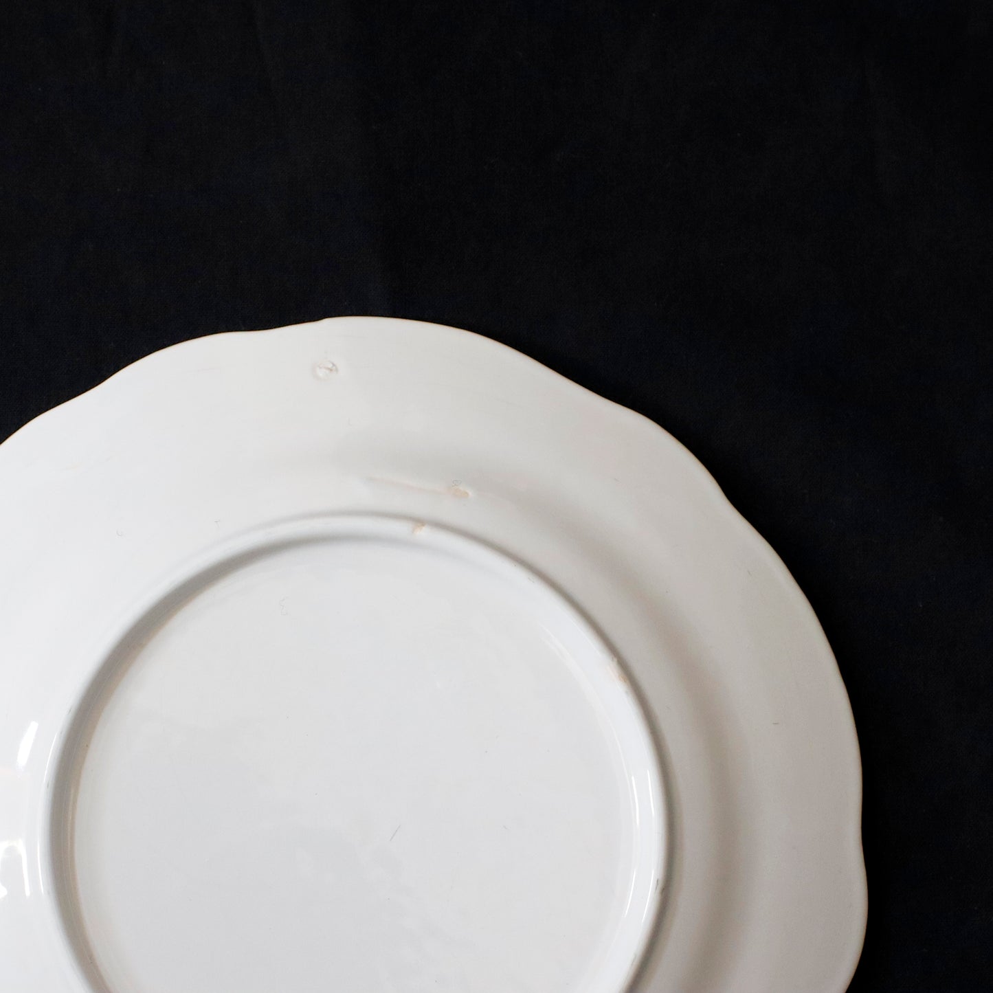 Flower Lim Plate | Kintsugi Repair “B”