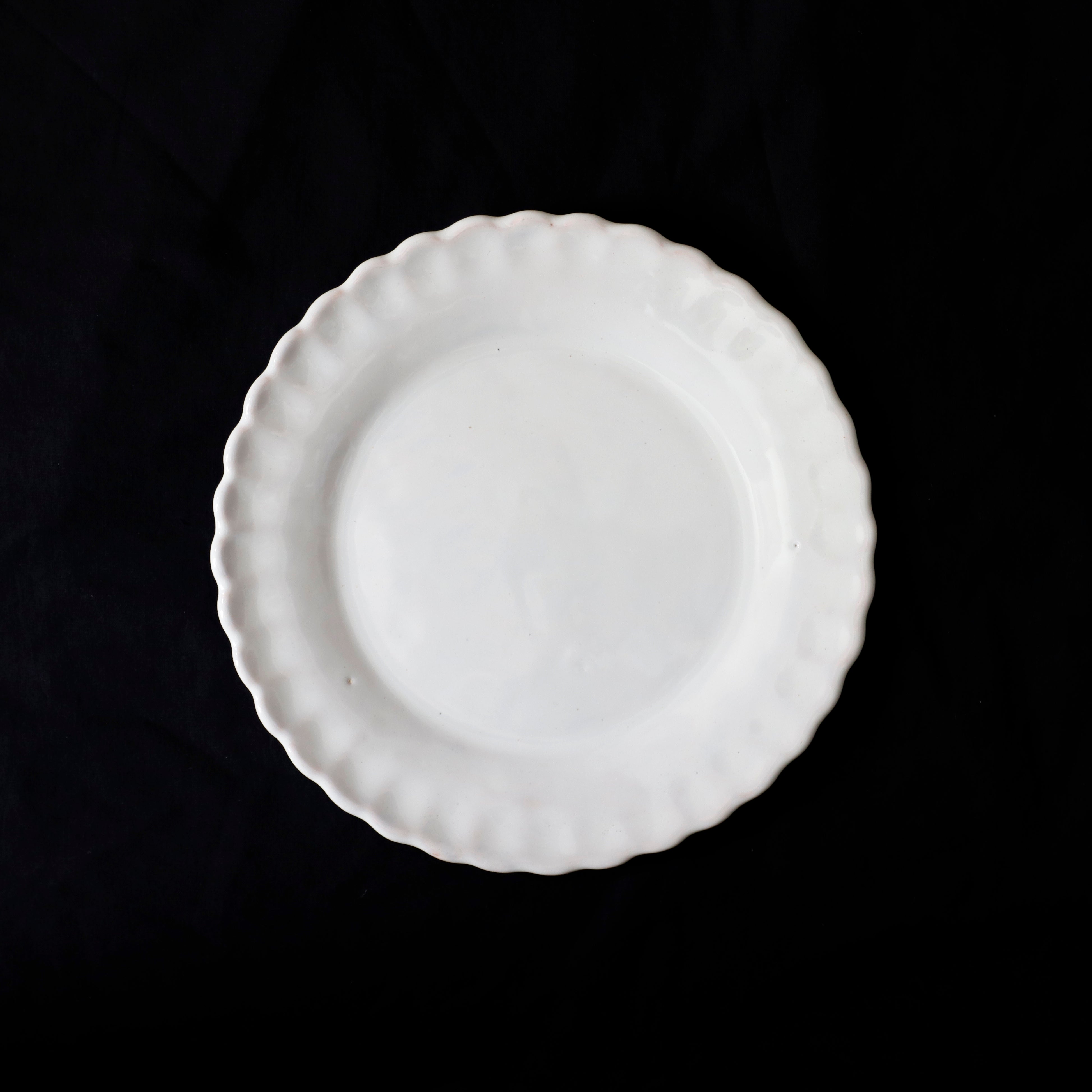 Moustiers | Shell Lim Plate – VISIONS