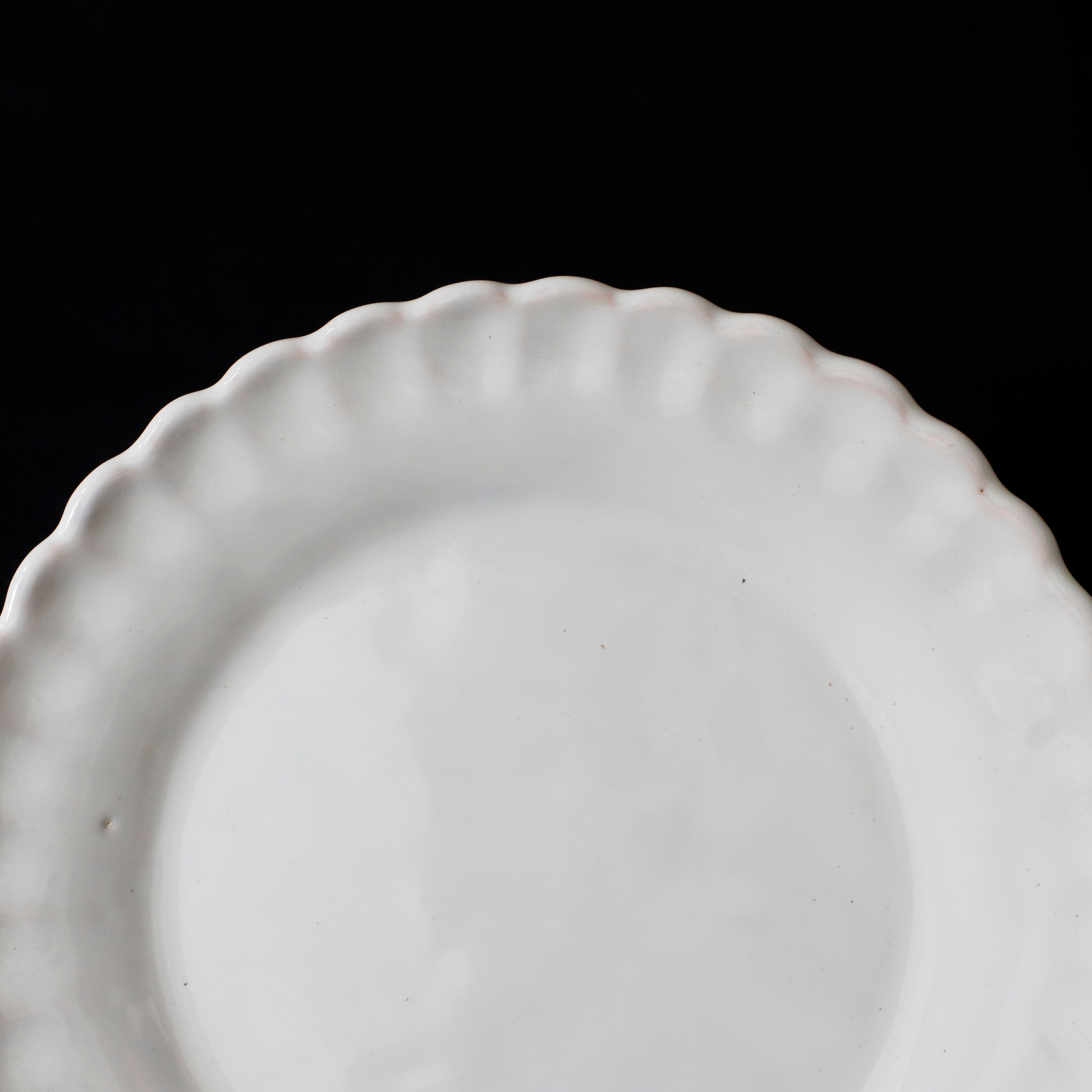 Moustiers | Shell Lim Plate – VISIONS