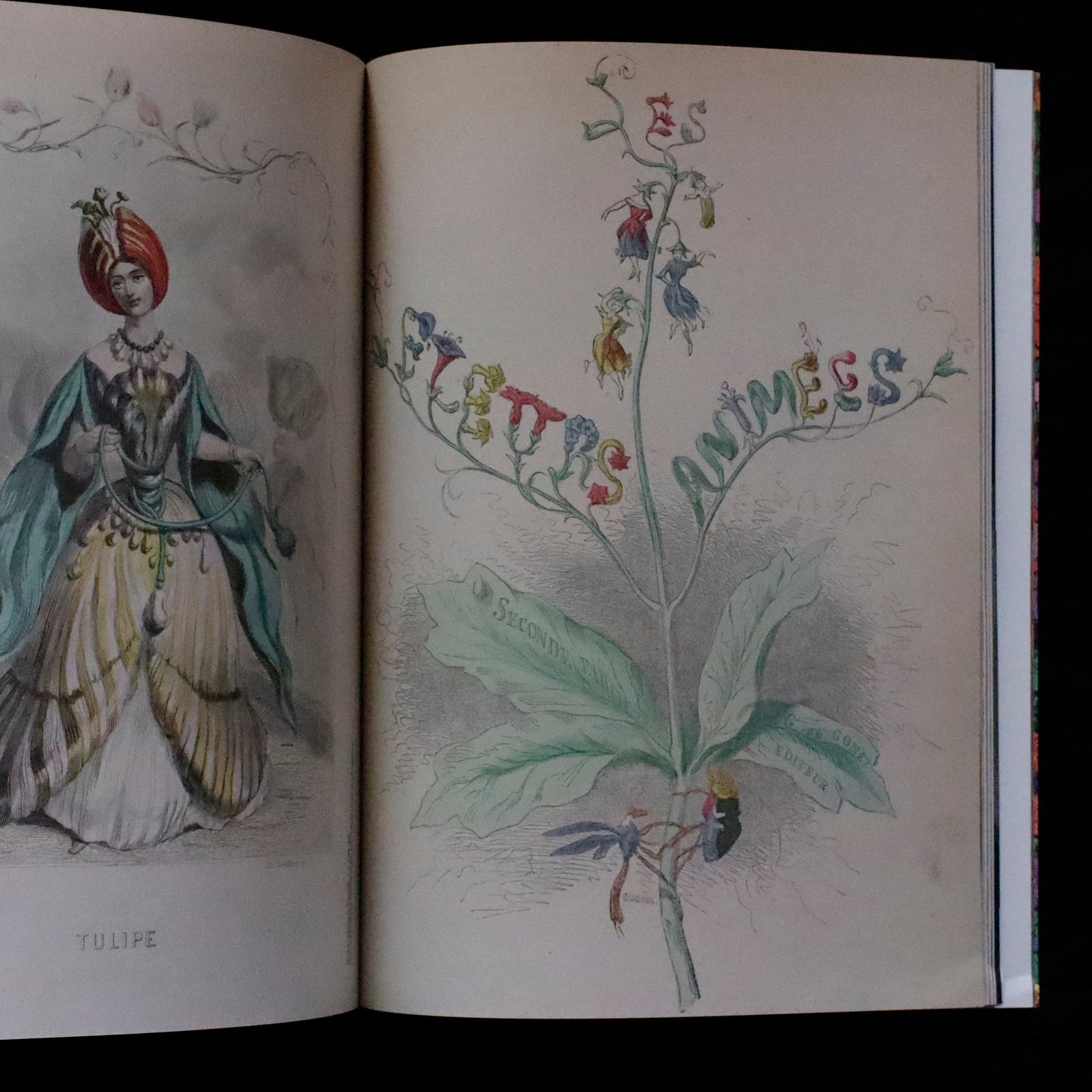 Blumenhaus | issue 06