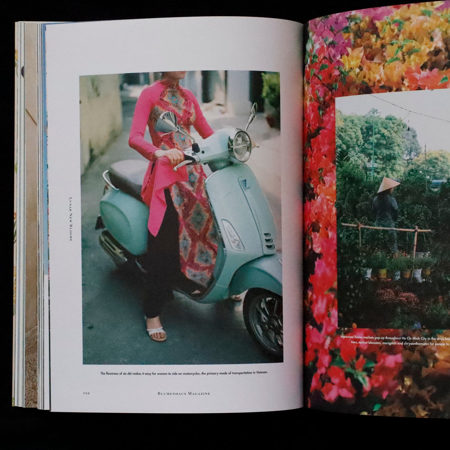 Blumenhaus | issue 06